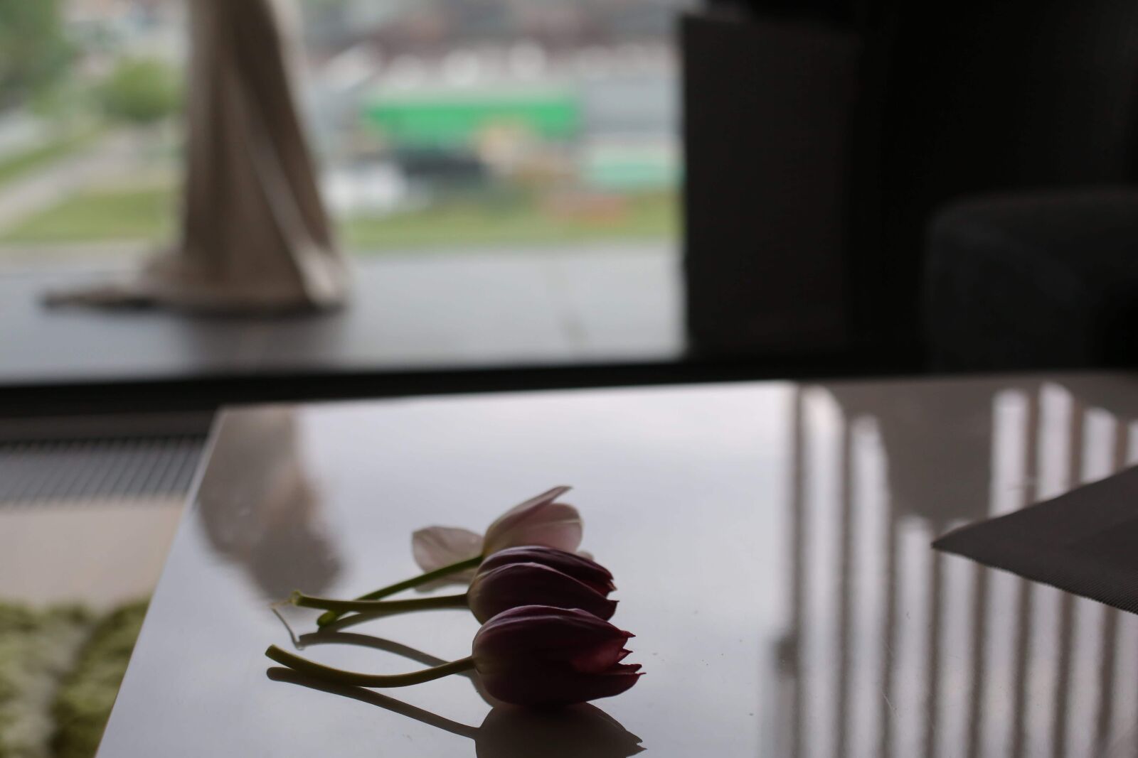 Canon EOS 5D Mark III sample photo. Tulips, three, interior decoration photography