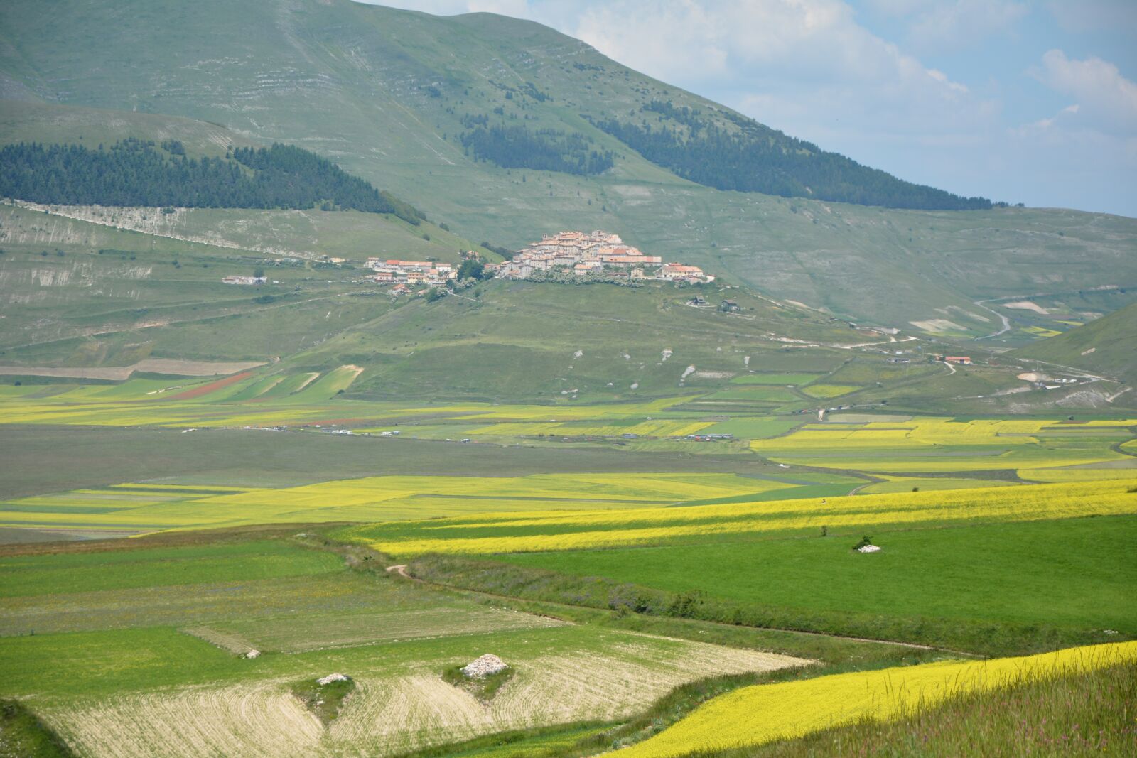 Nikon D7100 sample photo. Bloom, castelluccio di norcia photography