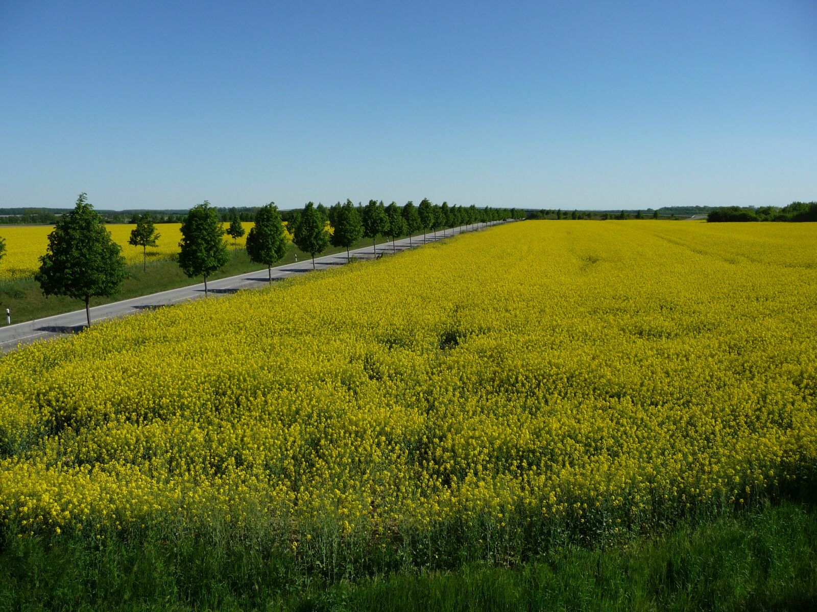 Panasonic Lumix DMC-TZ5 sample photo. Landscape, field, road photography