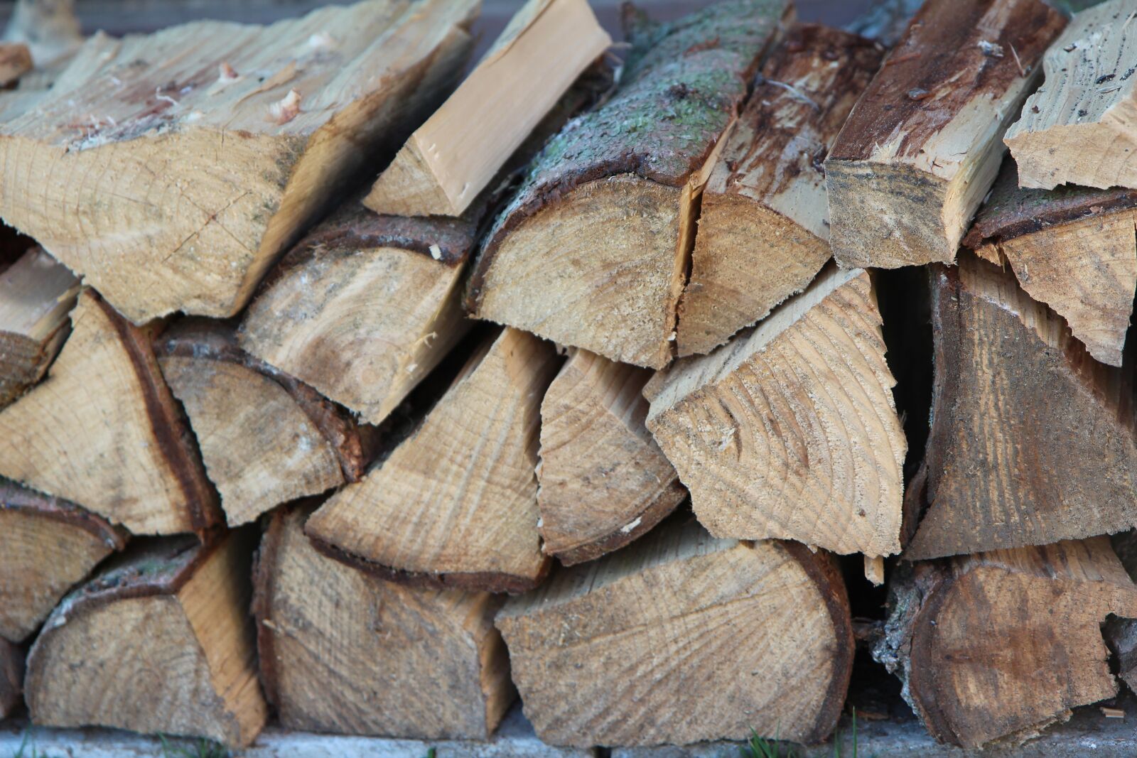 Canon EOS 600D (Rebel EOS T3i / EOS Kiss X5) sample photo. Wood, log, heating photography