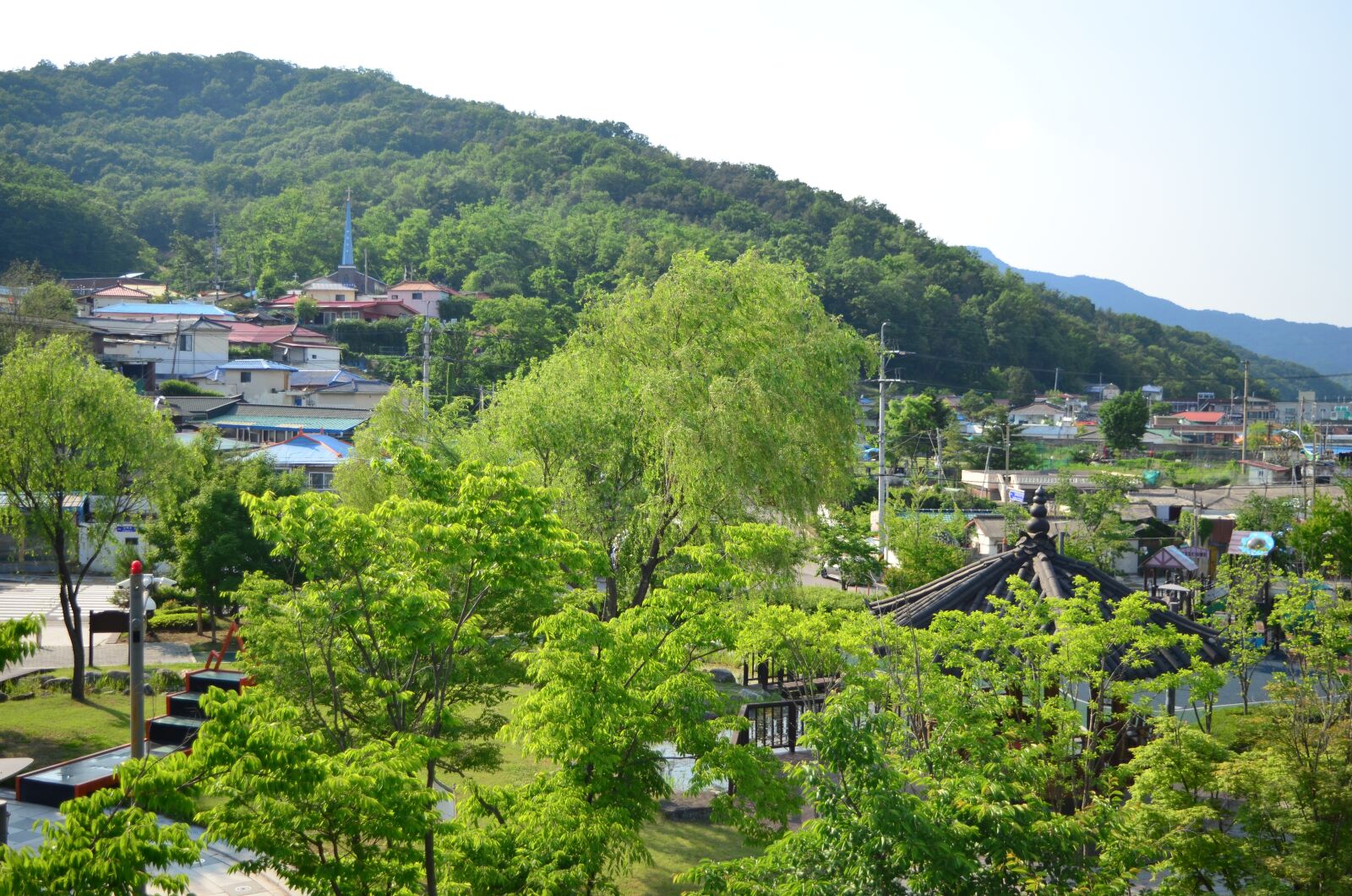 Nikon D5100 sample photo. Forest, trees, leaves photography