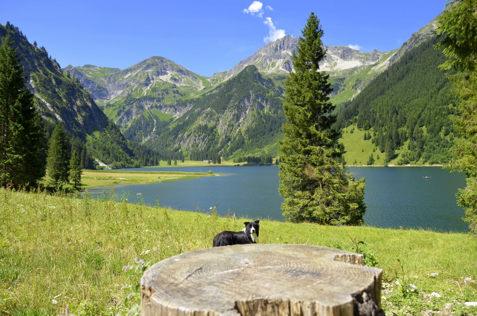 Nikon D5100 sample photo. Vilsalpsee, tyrol, alpine photography
