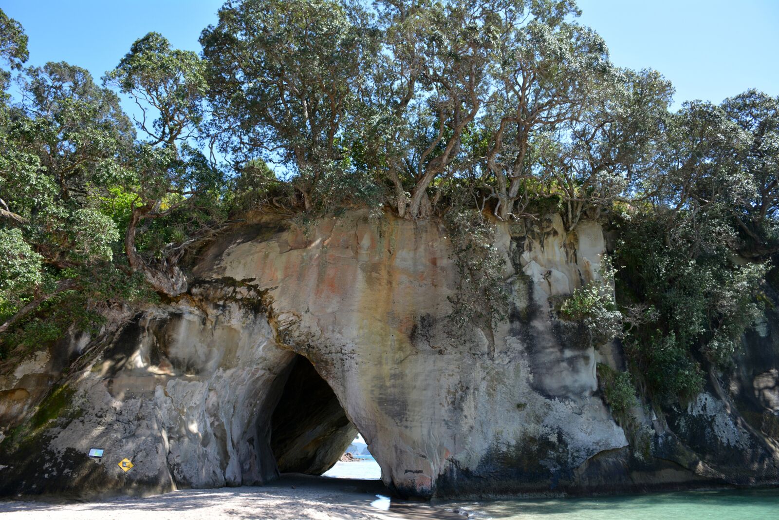 Nikon D7100 sample photo. Cathedral cove, new zealand photography