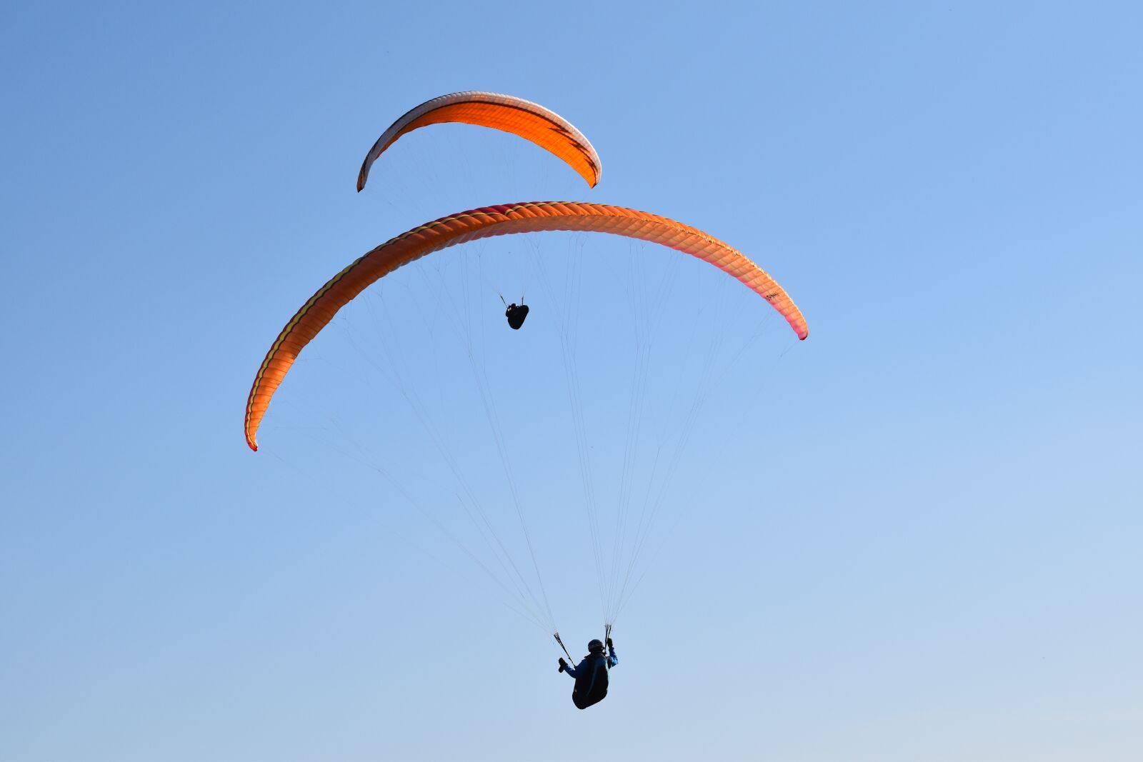 Nikon D5600 sample photo. Paragliding, paraglider, sails of photography