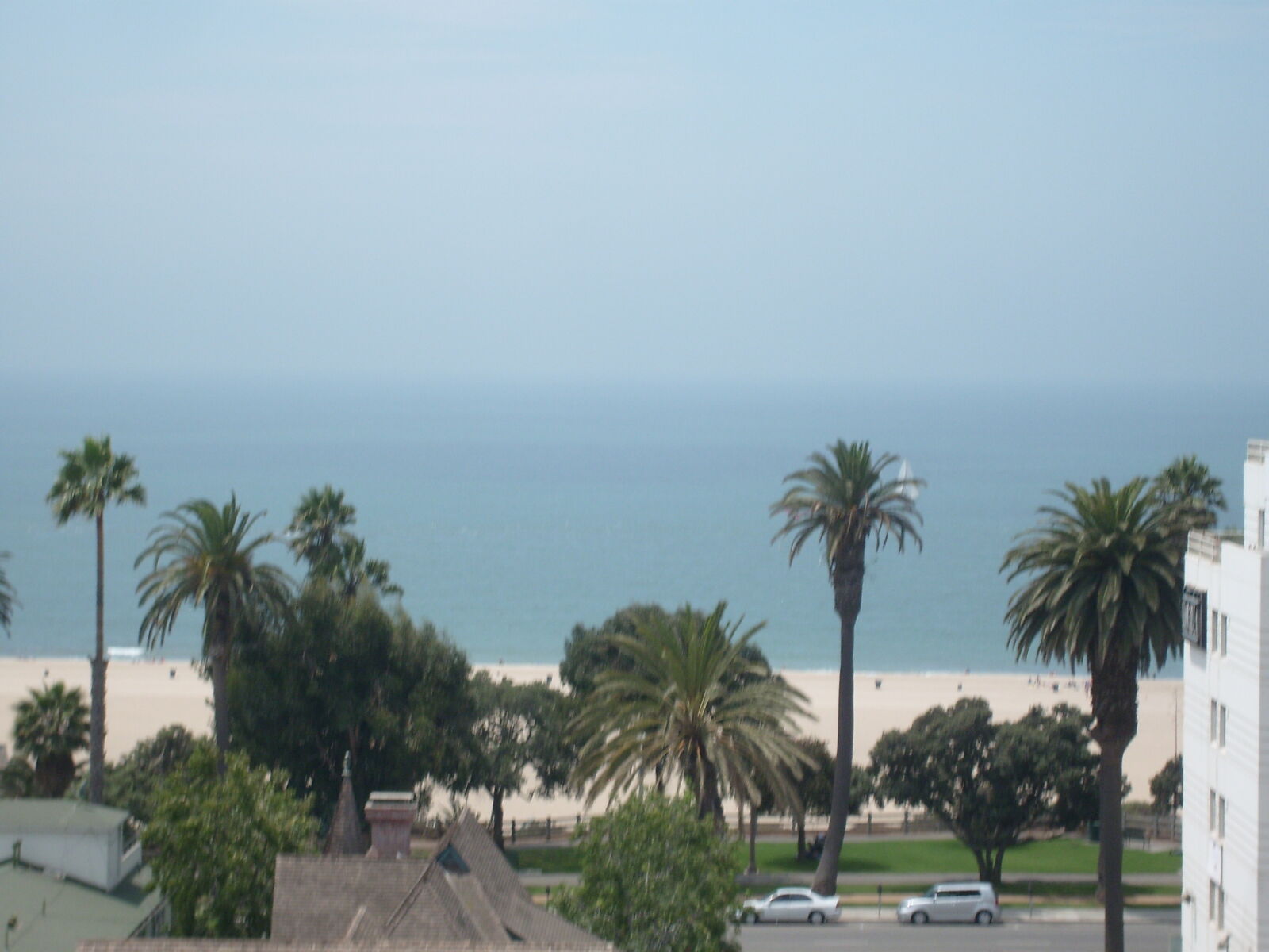 Samsung KENOX S730  / Samsung S730 sample photo. Beach, blue, palm, trees photography