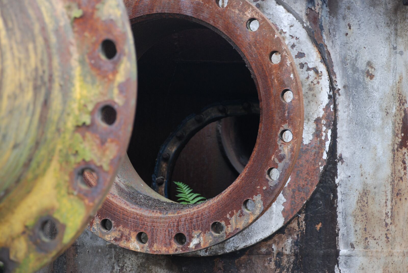 Nikon D80 sample photo. Industry, lost places, survive photography