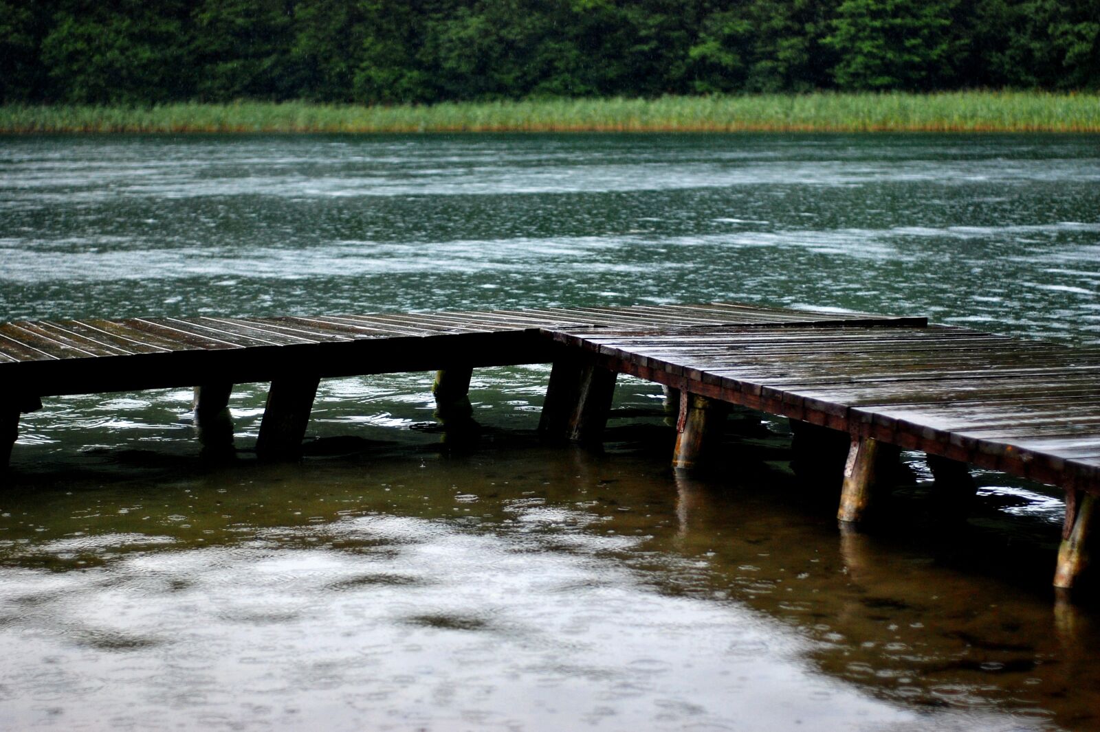 Nikon D80 sample photo. Bridge, rain, lake photography