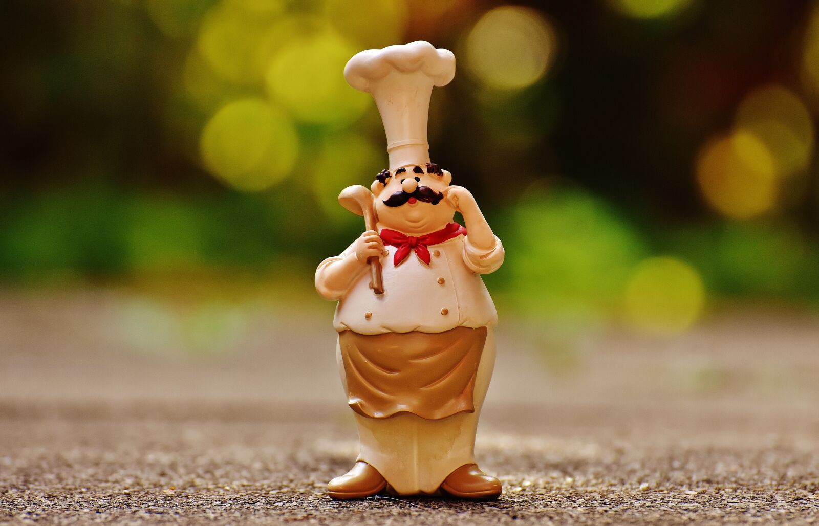 Nikon D7200 sample photo. Chefs, figures, funny photography