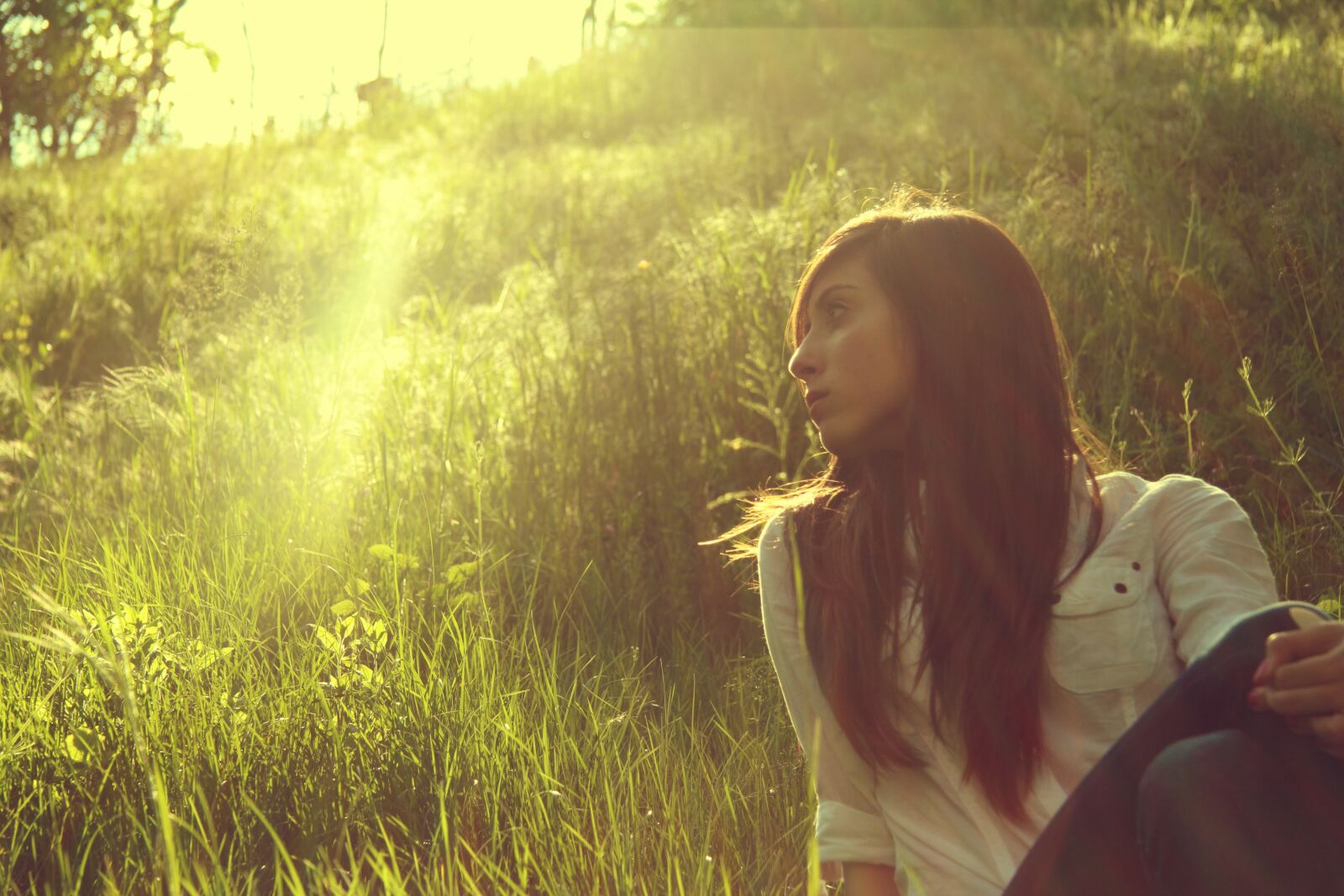 Canon EOS 550D (EOS Rebel T2i / EOS Kiss X4) sample photo. Woman, field, sun photography