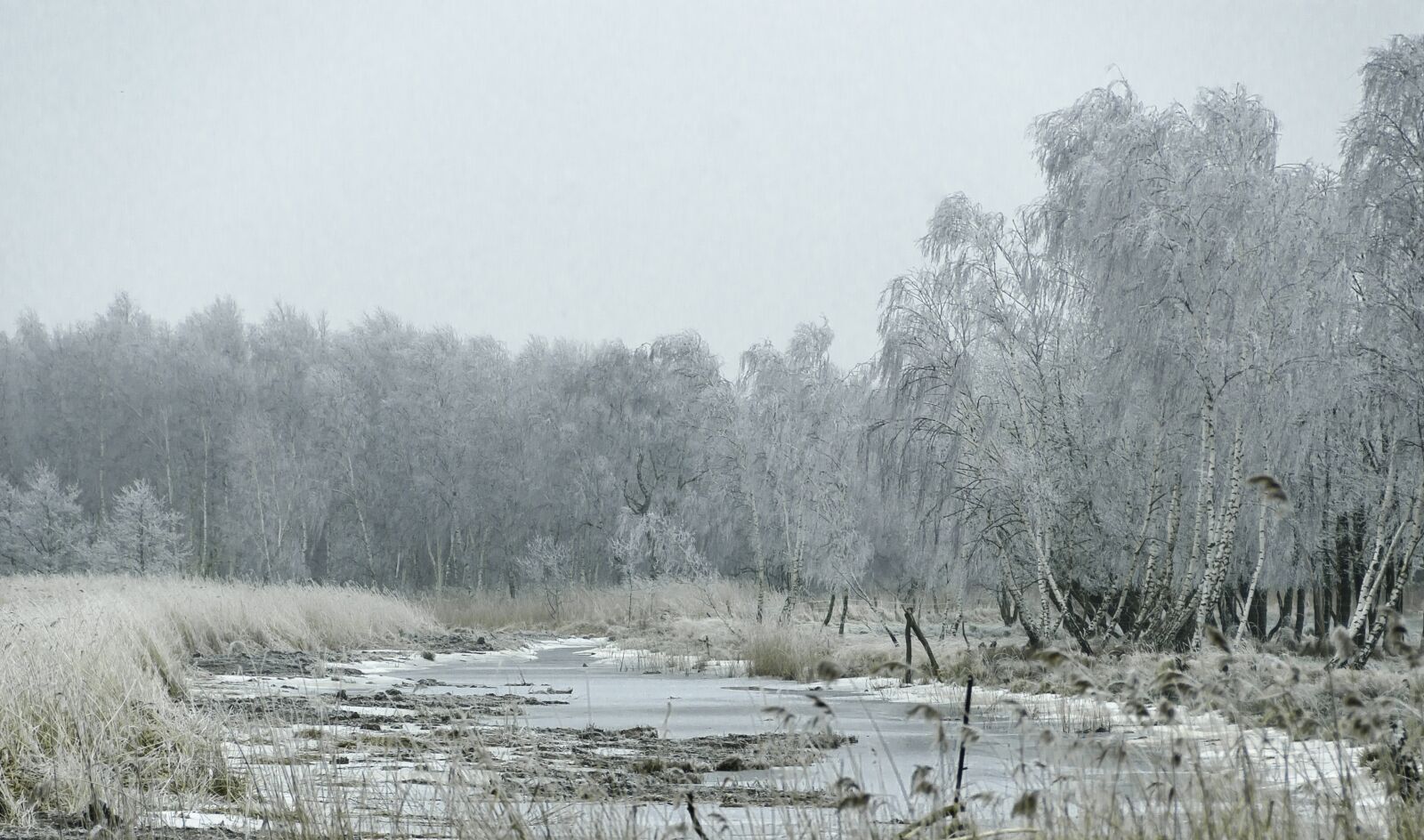 Nikon D7000 sample photo. Winter, nature, view photography