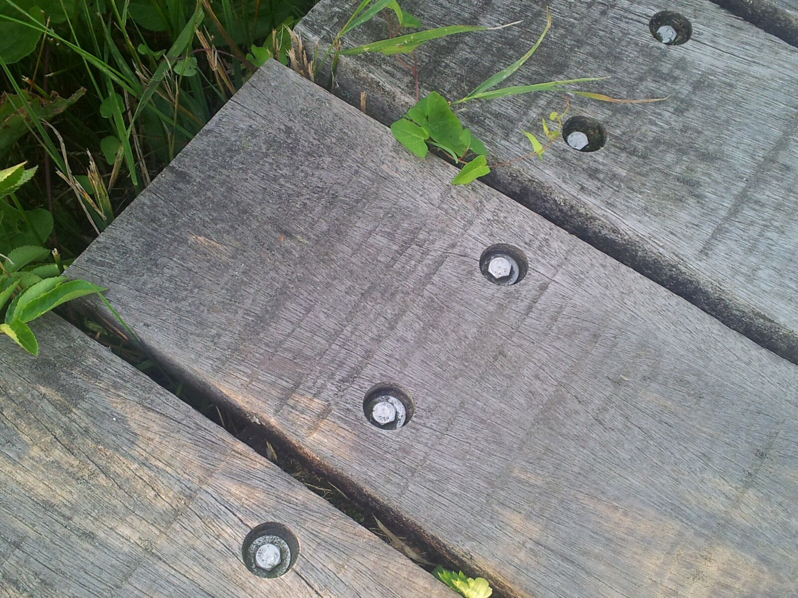 Samsung Galaxy S2 sample photo. Wooden, planks, nature photography