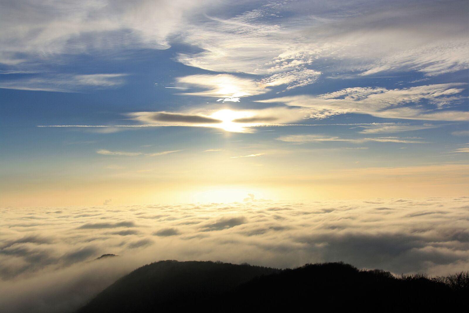 Canon EOS 1000D (EOS Digital Rebel XS / EOS Kiss F) sample photo. Ground fog, backlighting, nature photography
