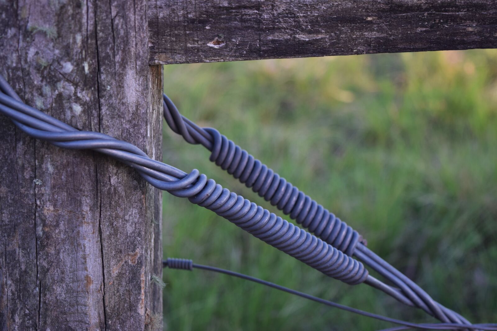 Nikon D3300 sample photo. Portress, wire, field photography