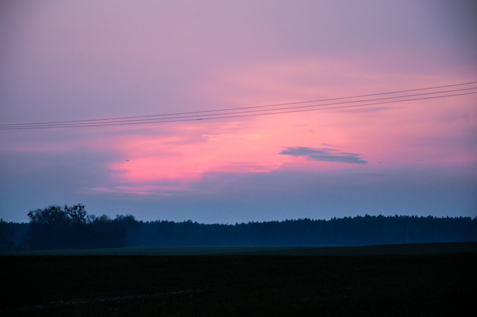 Nikon D3200 sample photo