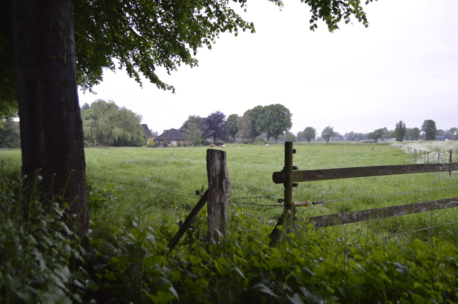 Nikon D3200 sample photo. Country, farm, field, posts photography