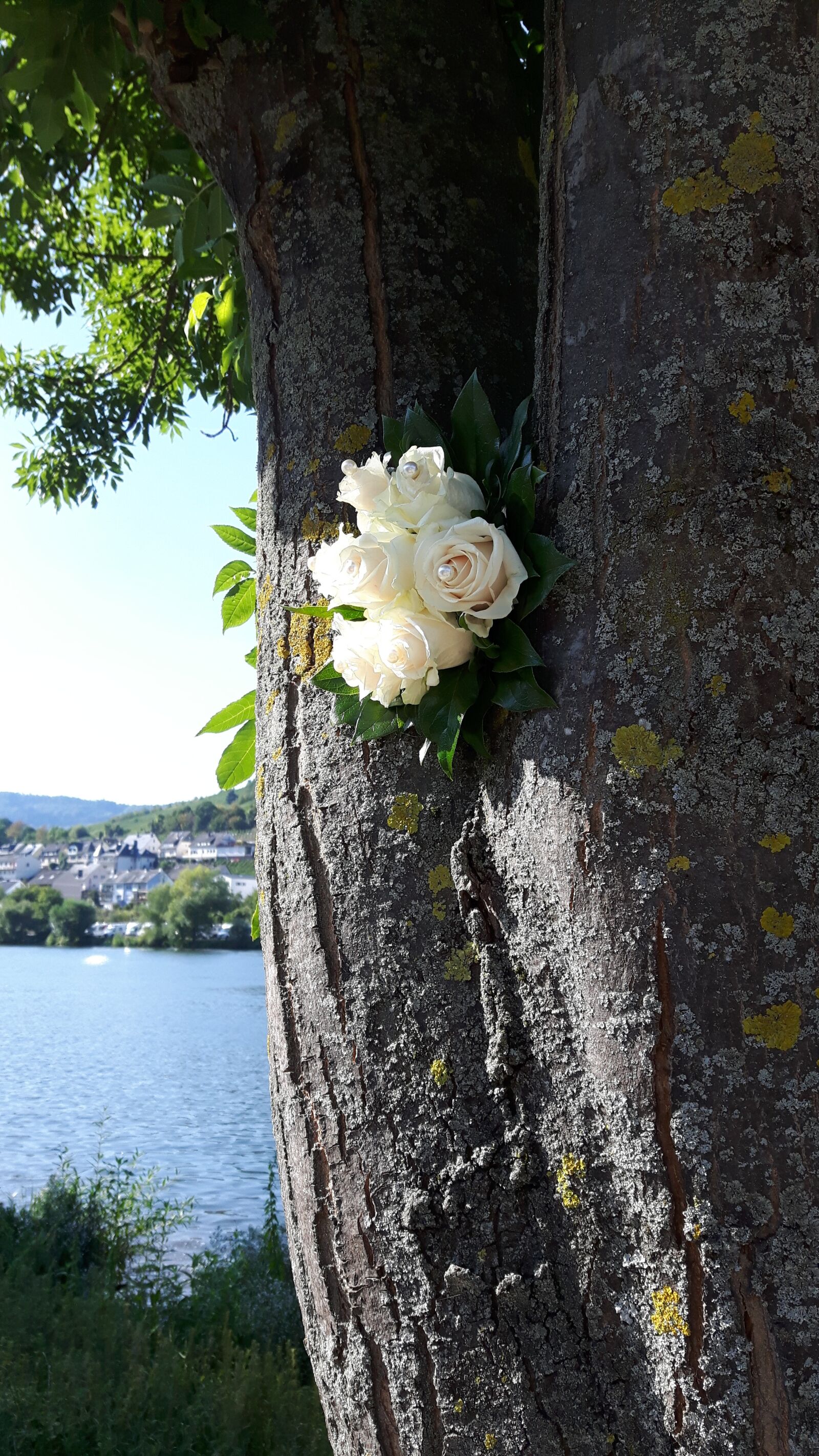 Samsung Galaxy S5 Neo sample photo. Tree, bouquet of roses photography