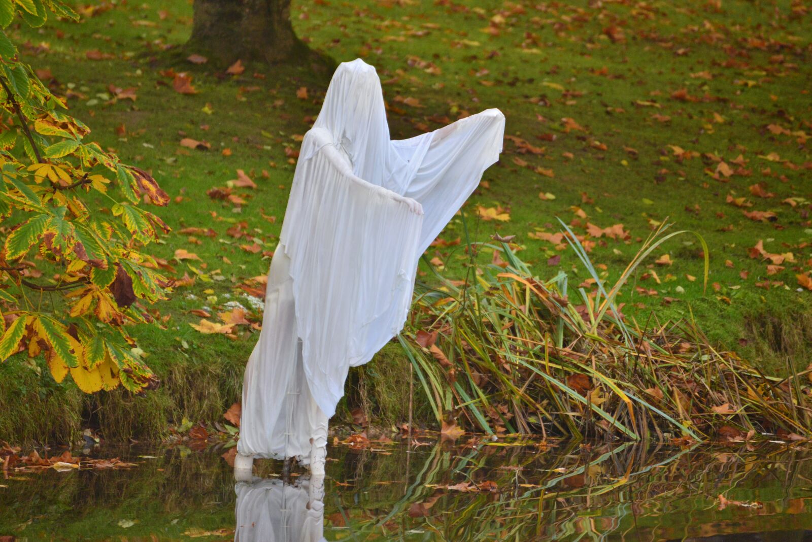 Nikon D610 sample photo. Halloween, skeleton, death photography