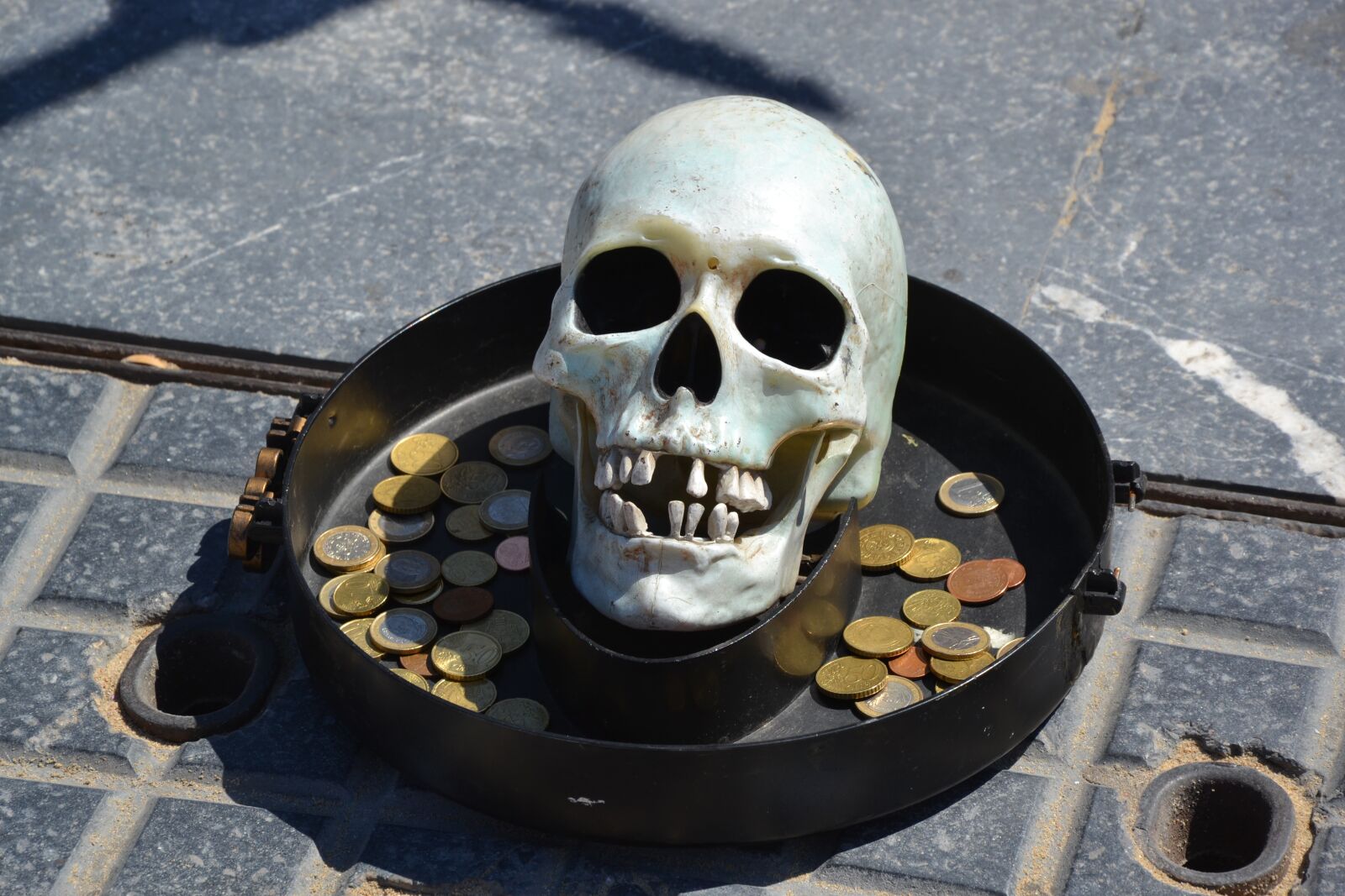 Nikon D3100 sample photo. Head, death, skull photography