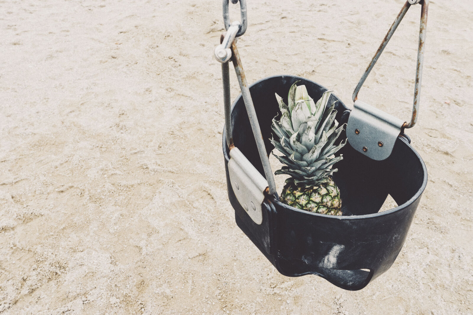 Sony a7 II + Sony FE 28-70mm F3.5-5.6 OSS sample photo. Fruit, park, pineapple, sand photography