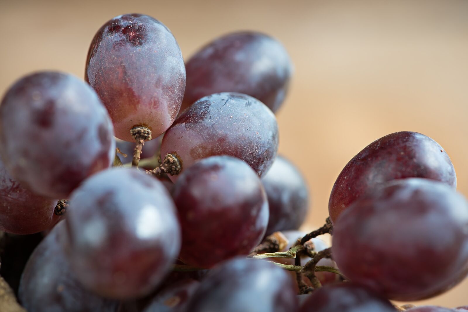 Nikon D750 sample photo. Grapes, red, red grapes photography
