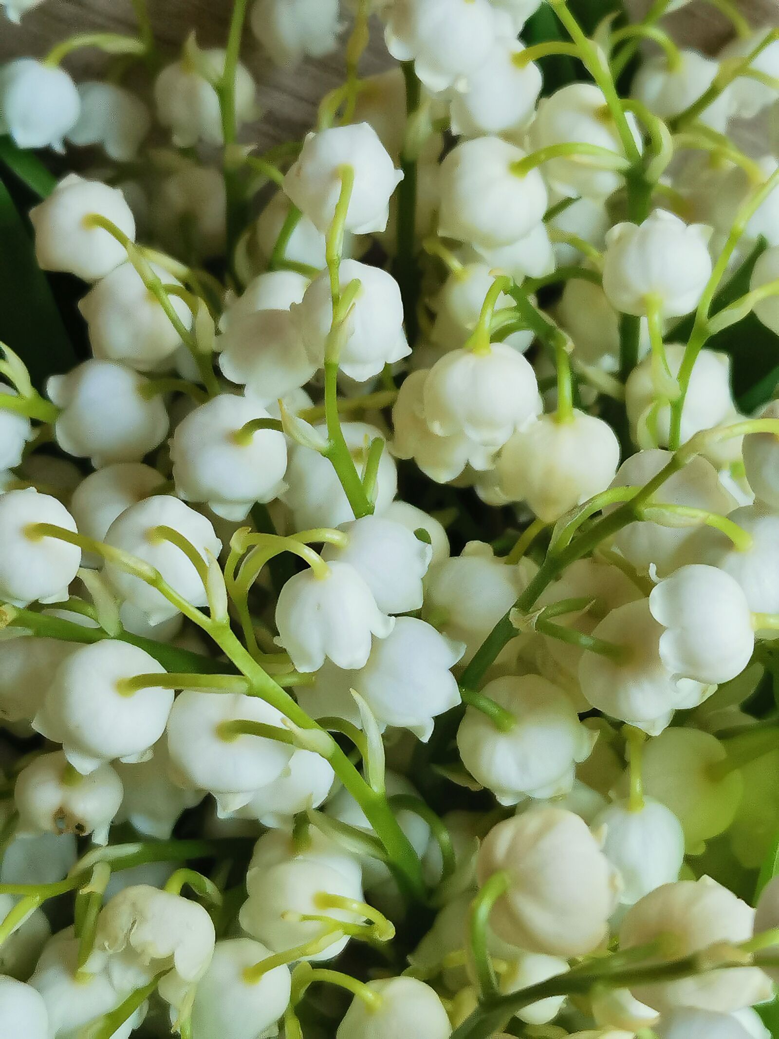 HUAWEI P30 sample photo. Lily of the valley photography