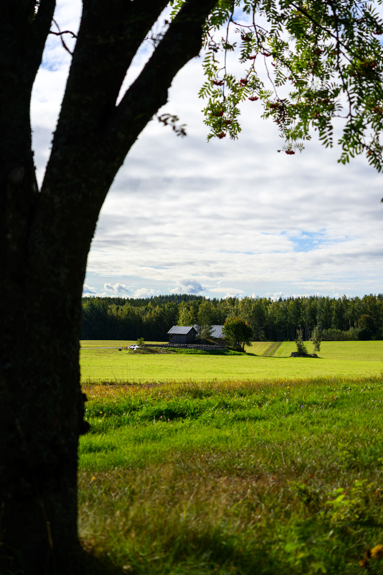 Nikon Z8 sample photo. Countryside landscape photography