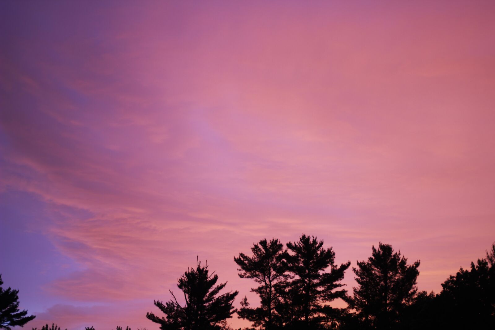 Canon EOS 1200D (EOS Rebel T5 / EOS Kiss X70 / EOS Hi) sample photo. Sunset, pink, yellow photography
