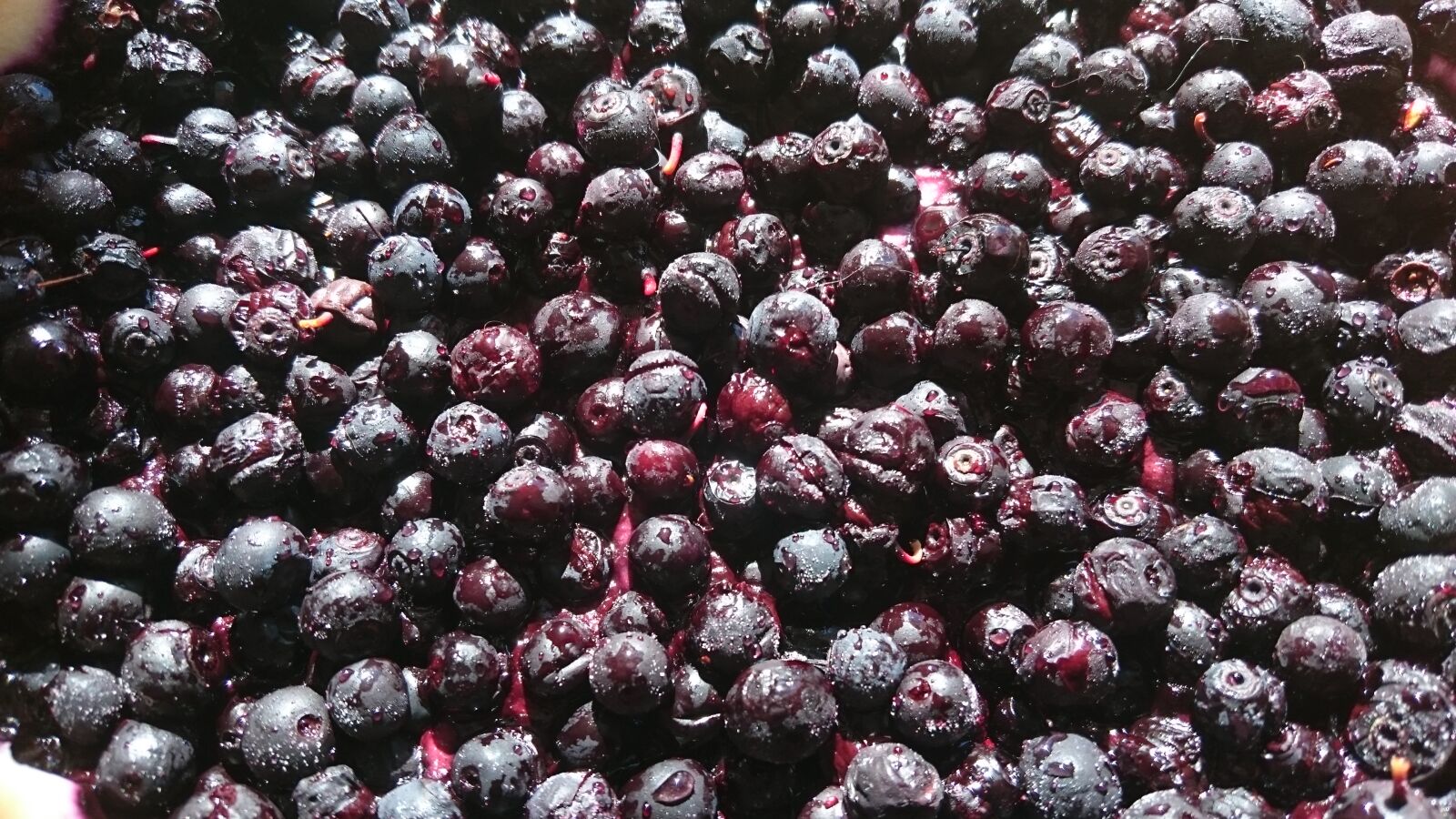 Sony Xperia Z3 sample photo. Berries, berry, blueberries, blueberry photography