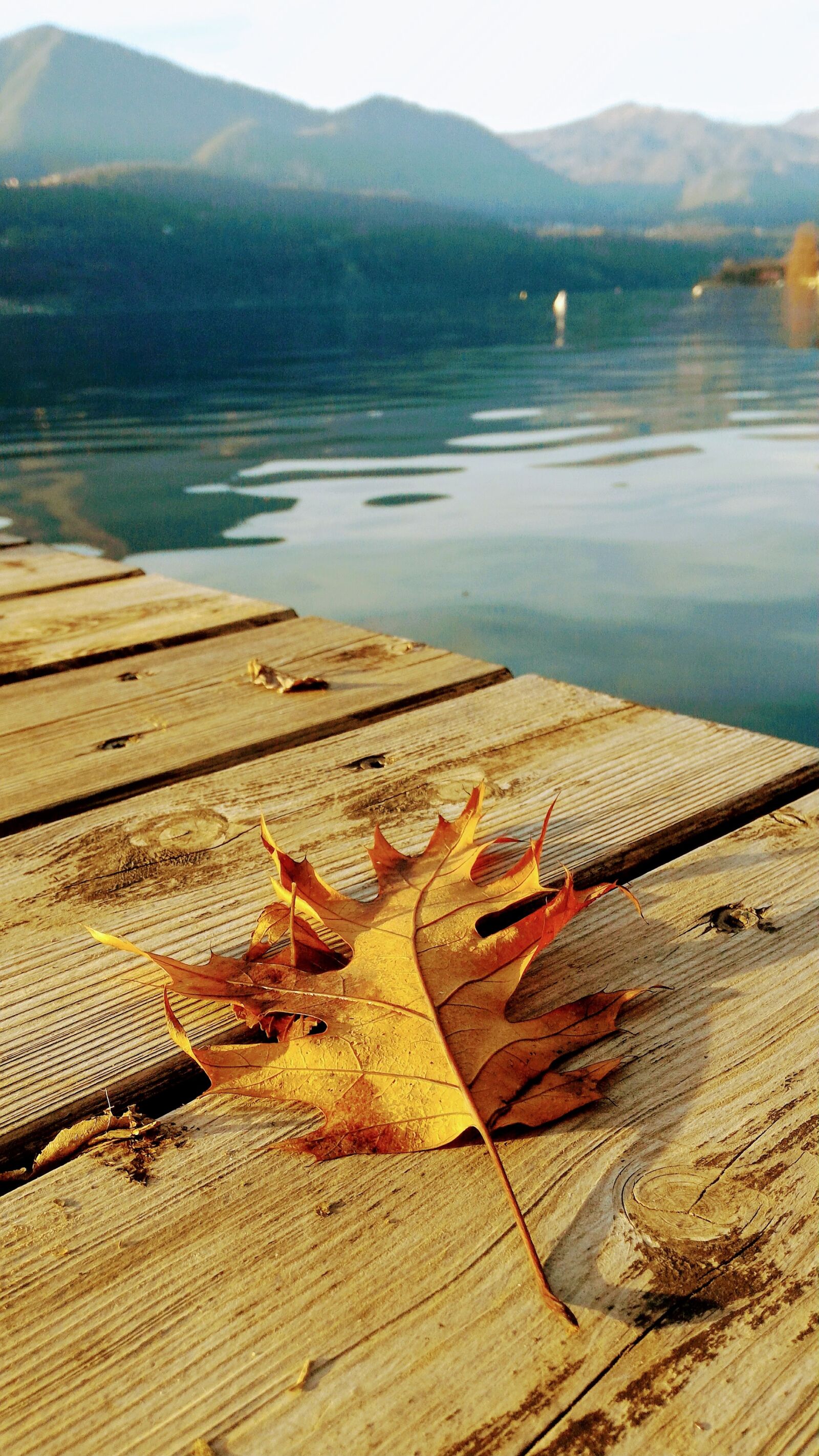 ASUS ZenFone 2 (ZE551ML) sample photo. Lake, autumn, nature photography