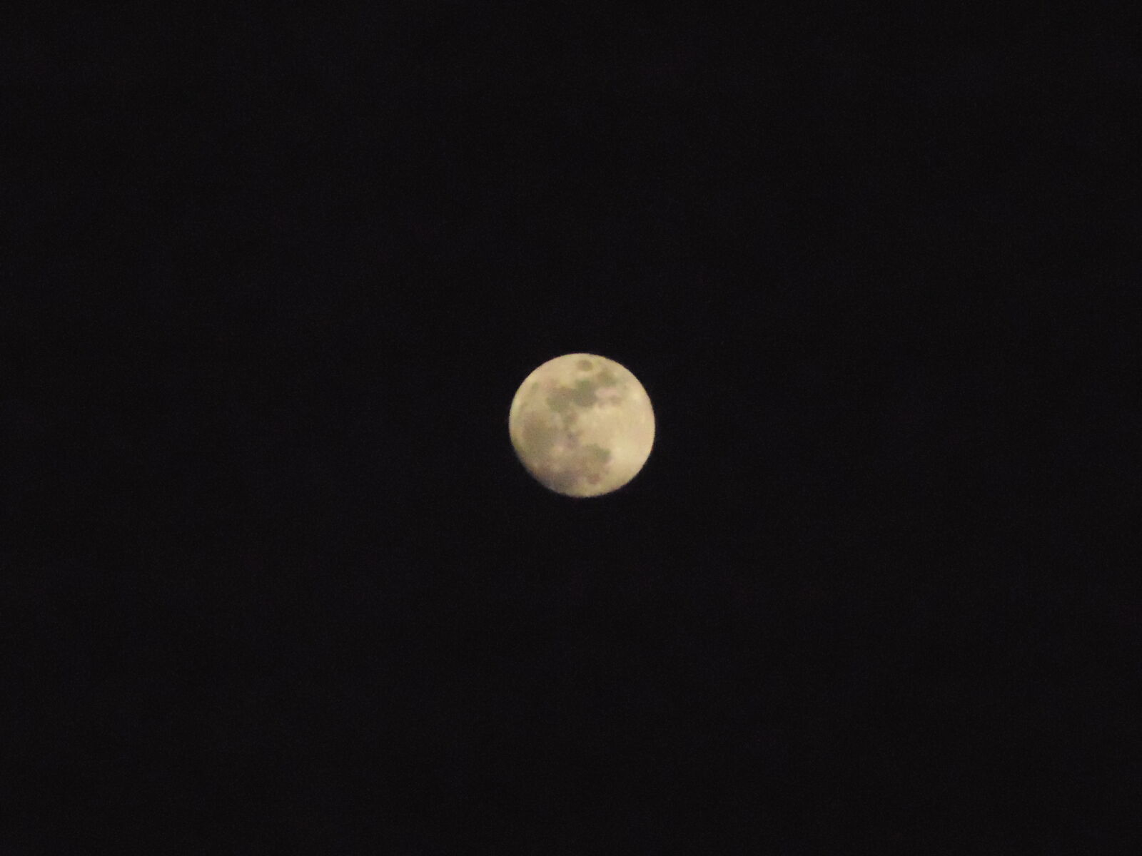 Sony DSC-H100 sample photo