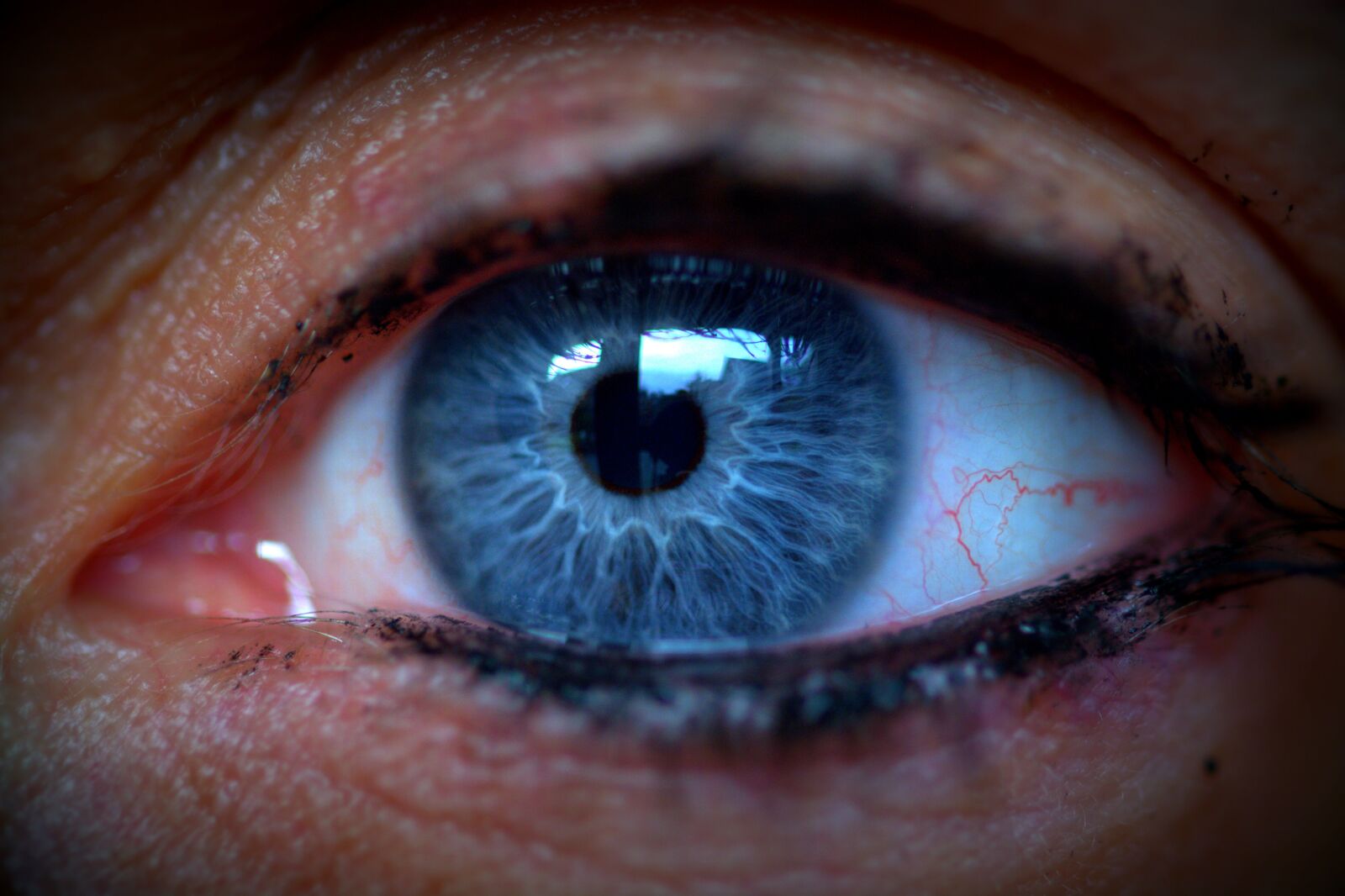 Nikon D5200 sample photo. Eye, blue, eyelashes photography