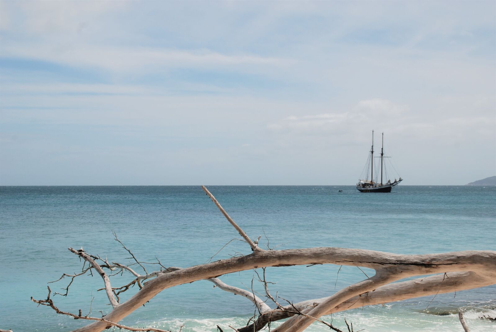 Nikon D80 sample photo. Sea pearl, seychelles, holiday photography