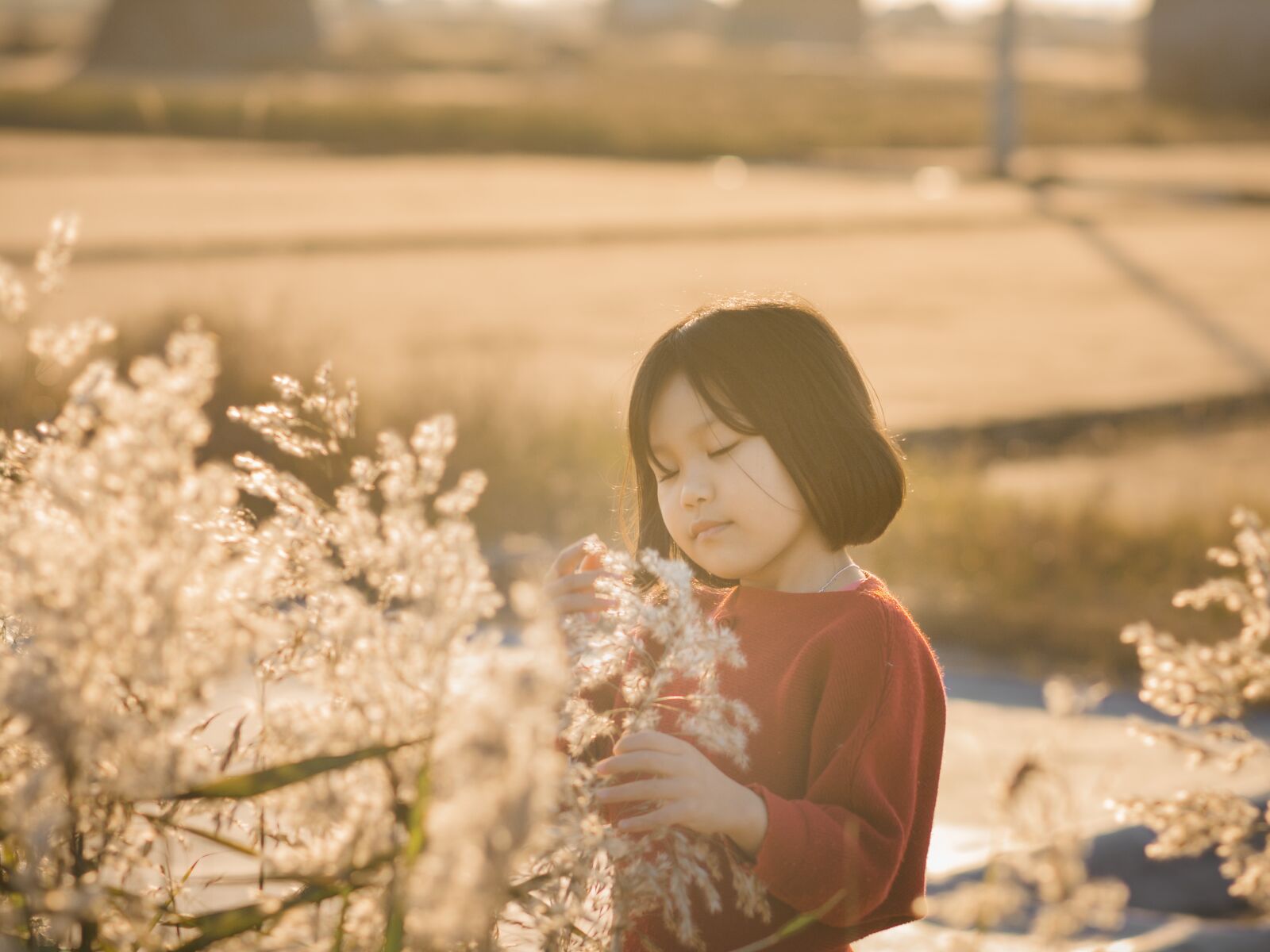 Nikon D7100 sample photo. Baby, sunset, light photography