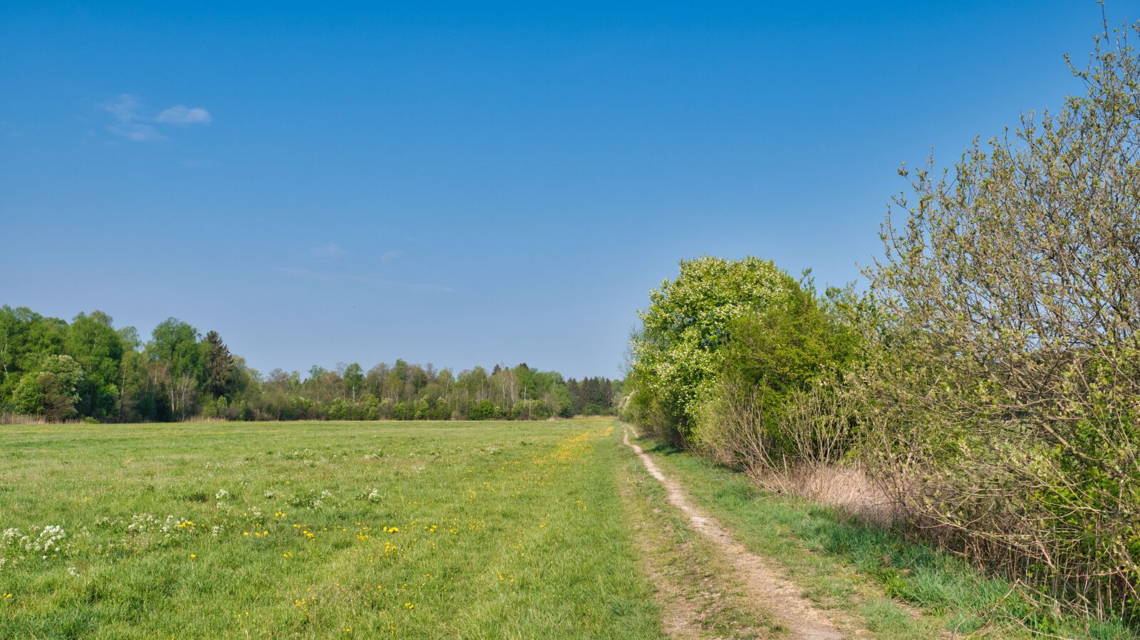 Nikon D7500 sample photo. Spring, landscape, meadow photography