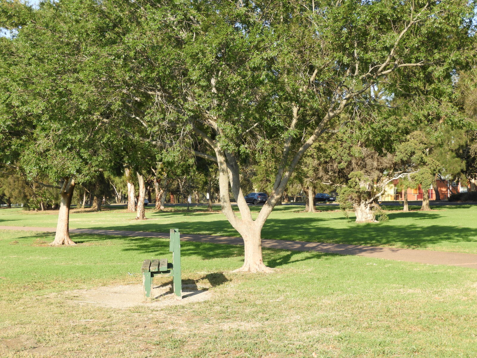 Nikon Coolpix B700 sample photo. Alone, beautiful, bench, empty photography