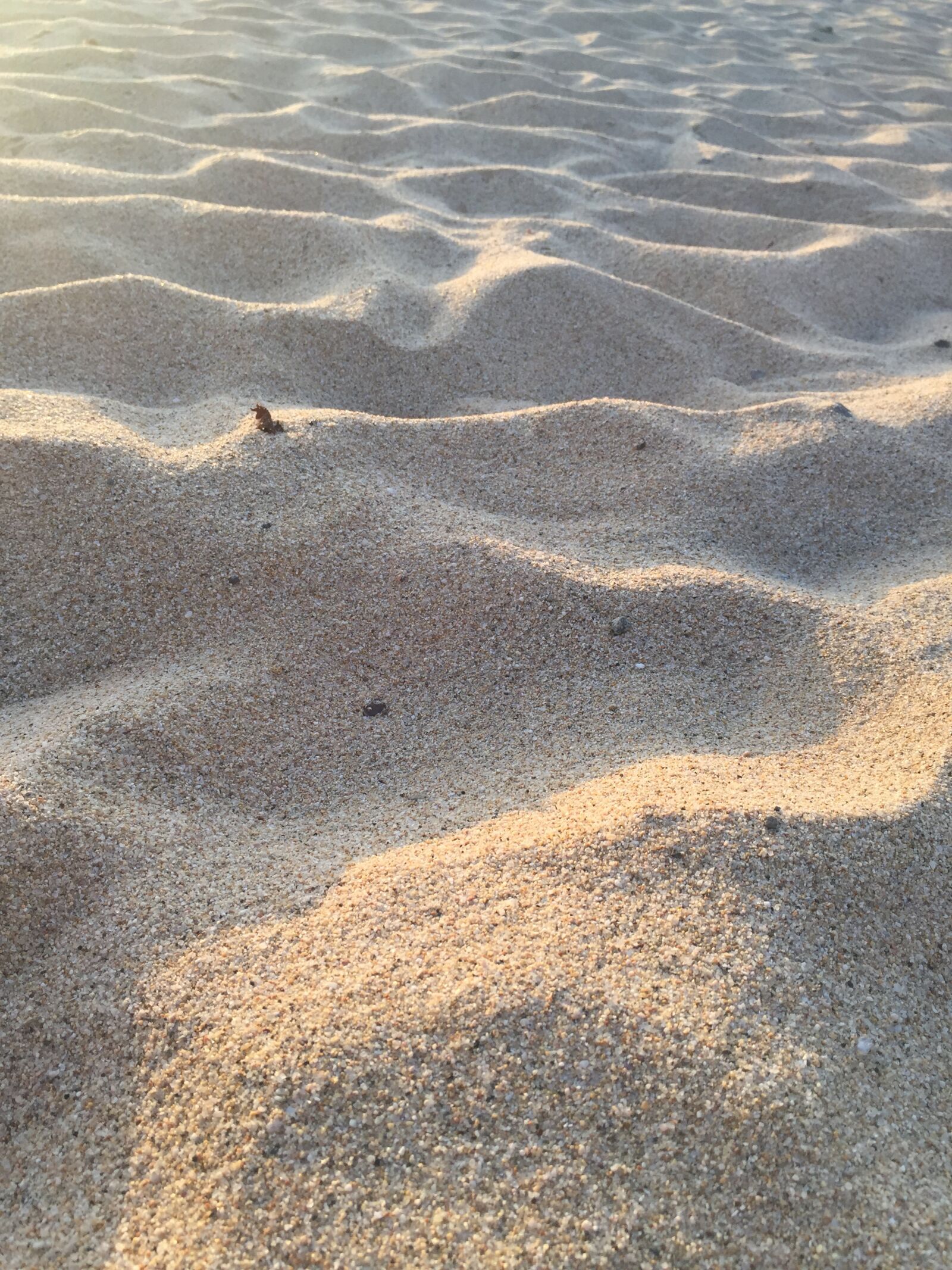 Apple iPhone 6 sample photo. Sand, beach, seashore photography