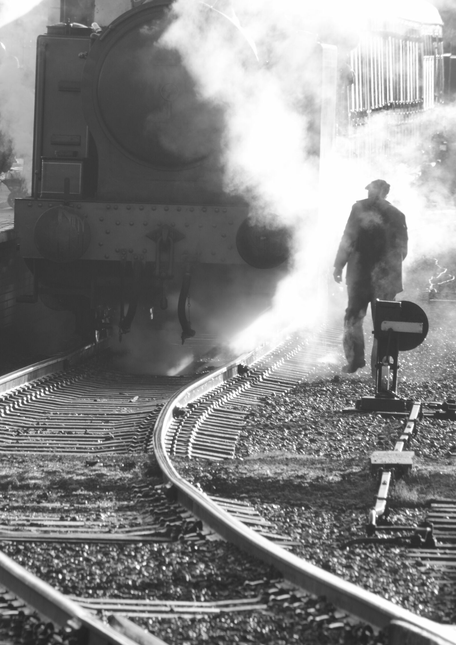 Canon EOS 550D (EOS Rebel T2i / EOS Kiss X4) sample photo. Black, white, black, and photography