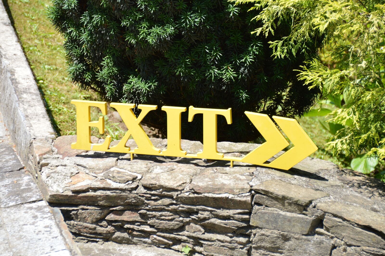 Nikon D3200 sample photo. Exit, brexit, botanical garden photography