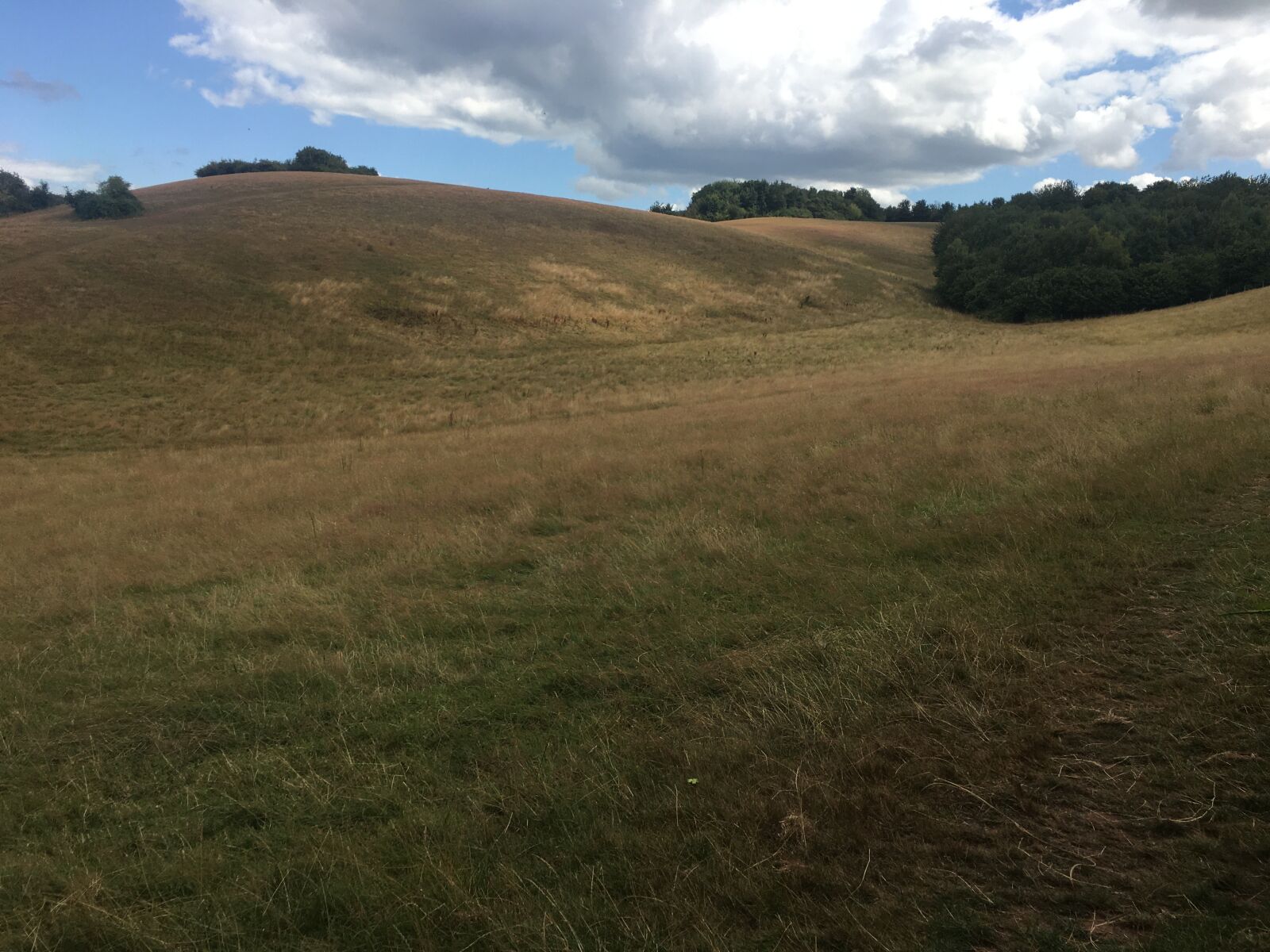 iPhone 6s Plus back camera 4.15mm f/2.2 sample photo. Field, exeter, devon photography