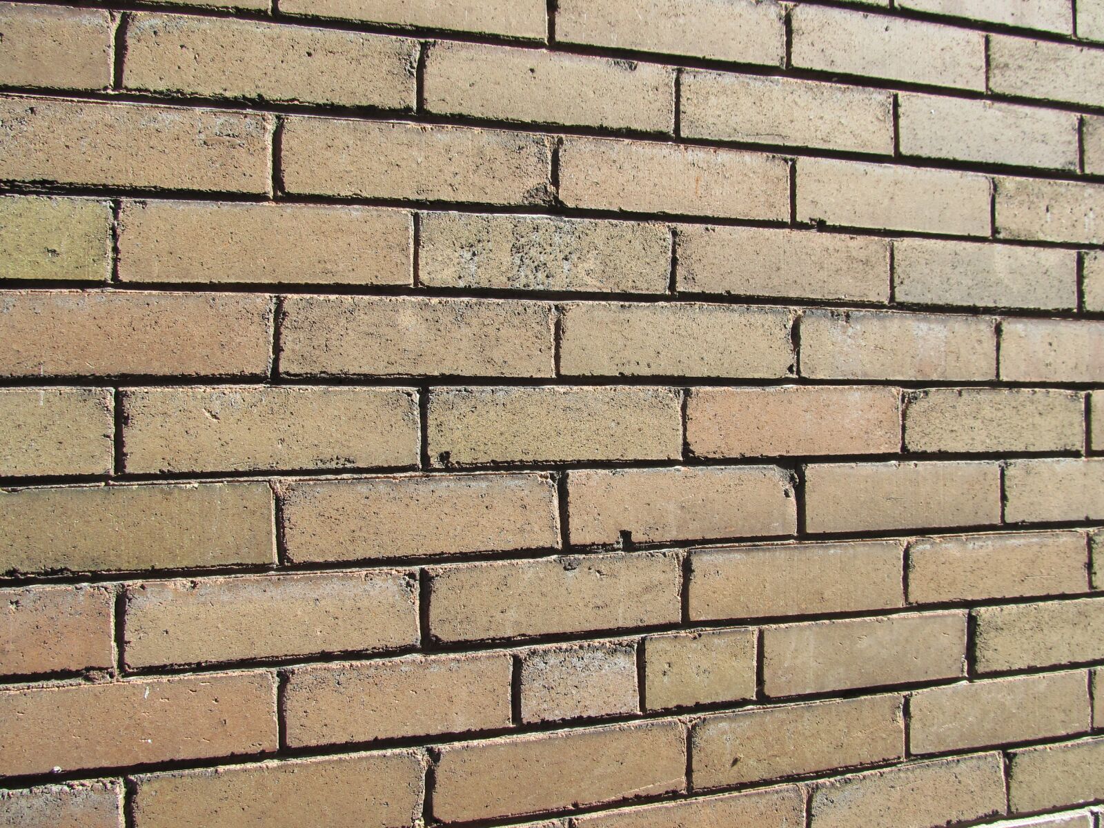 Canon PowerShot SX130 IS sample photo. Bricks, brickwall, wa photography