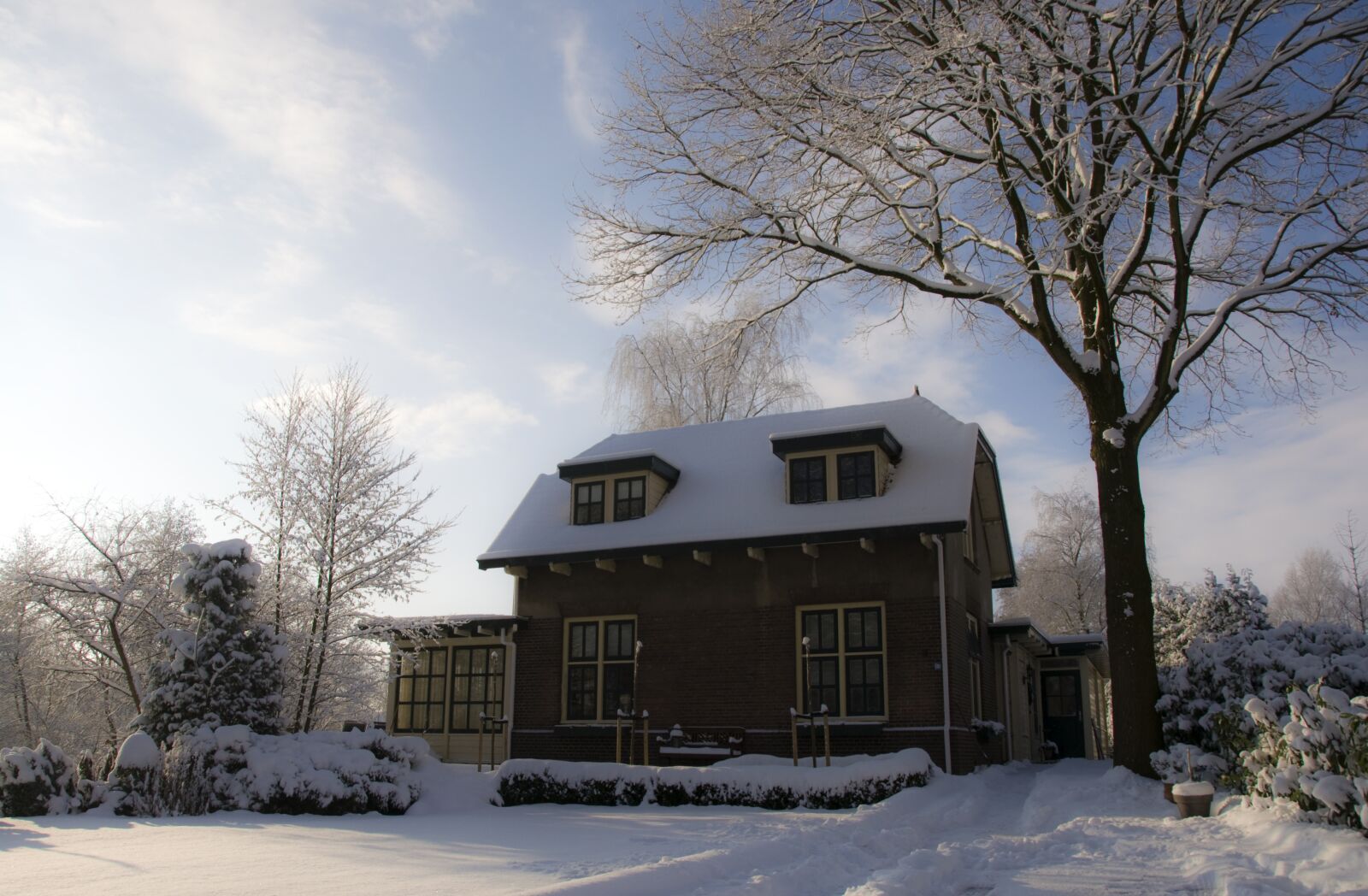 Nikon D90 sample photo. Winter, stadskanaal nl, landscape photography