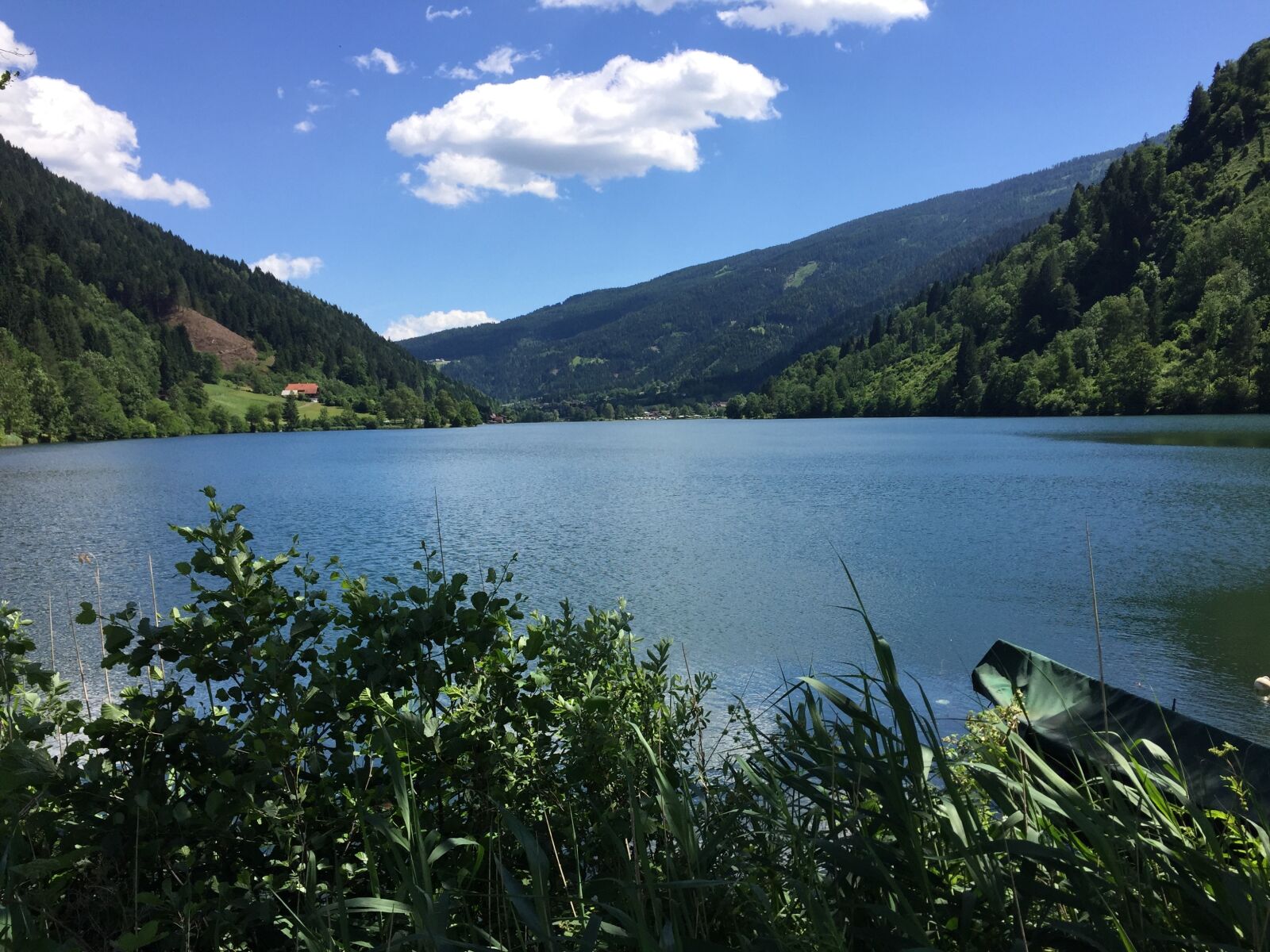 Apple iPhone 6 sample photo. Nature, landscape, summer photography