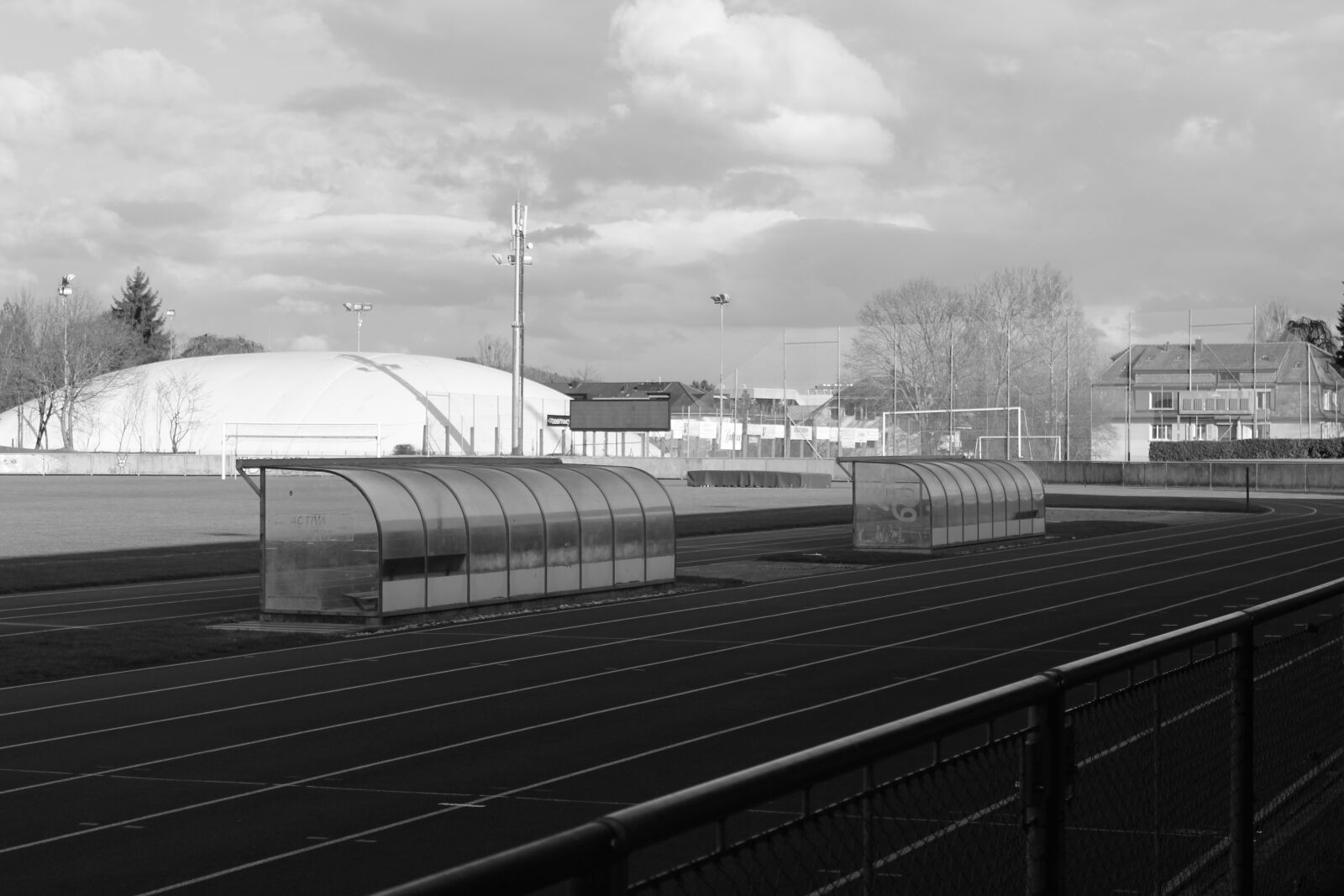 Canon EOS 1300D (EOS Rebel T6 / EOS Kiss X80) sample photo. Black and white, nature photography