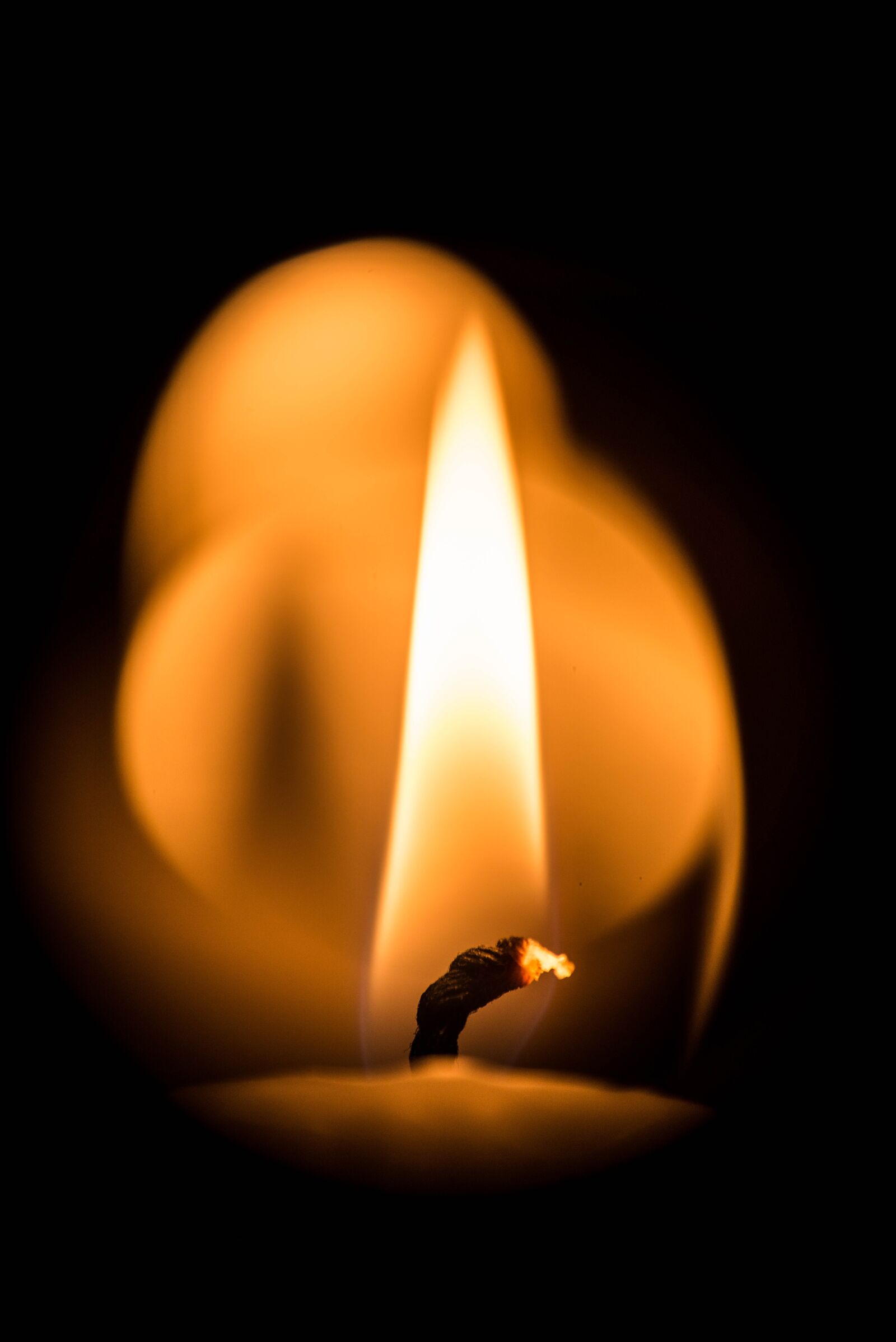 Nikon D800E sample photo. Candle, flame, warm photography