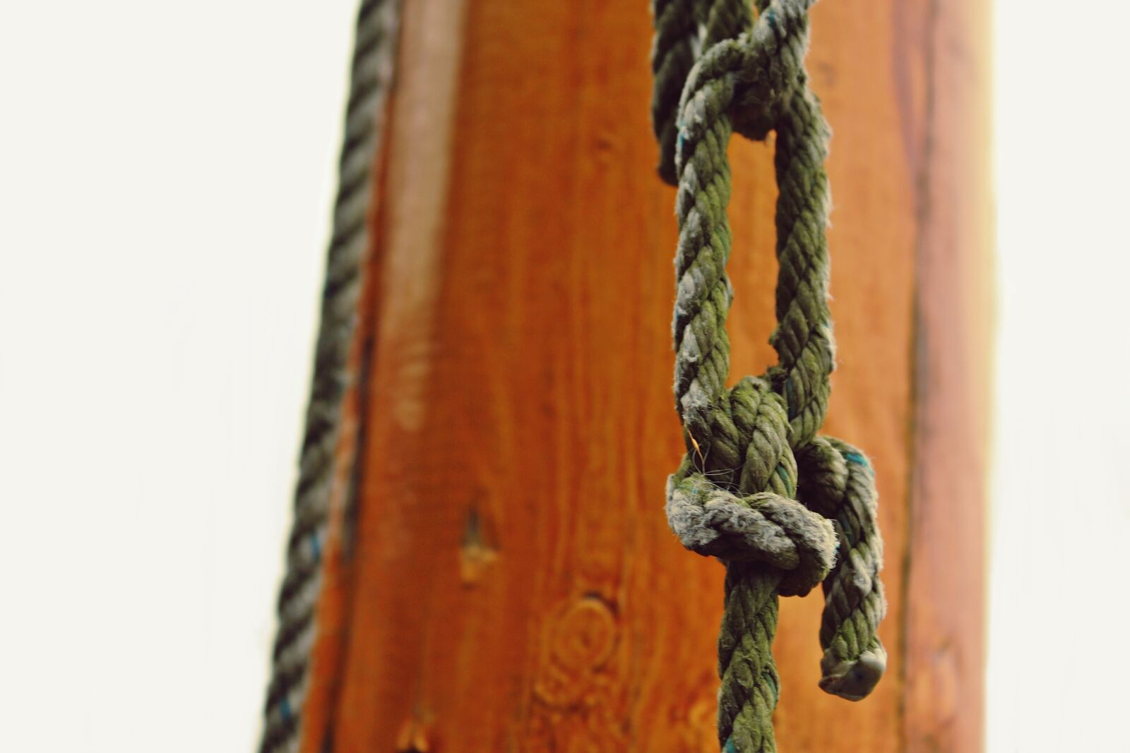 Canon EOS 1200D (EOS Rebel T5 / EOS Kiss X70 / EOS Hi) sample photo. Rope, dew, twisted ropes photography