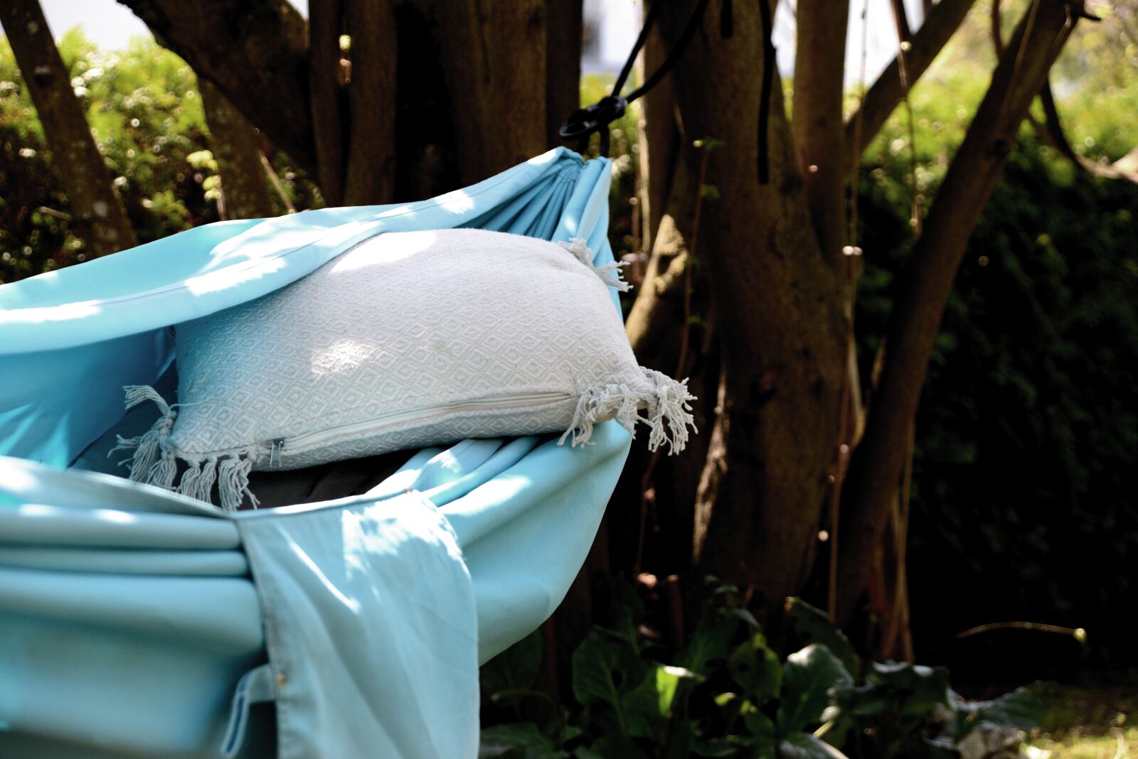 Nikon D610 sample photo. Hammock, garden, summer photography