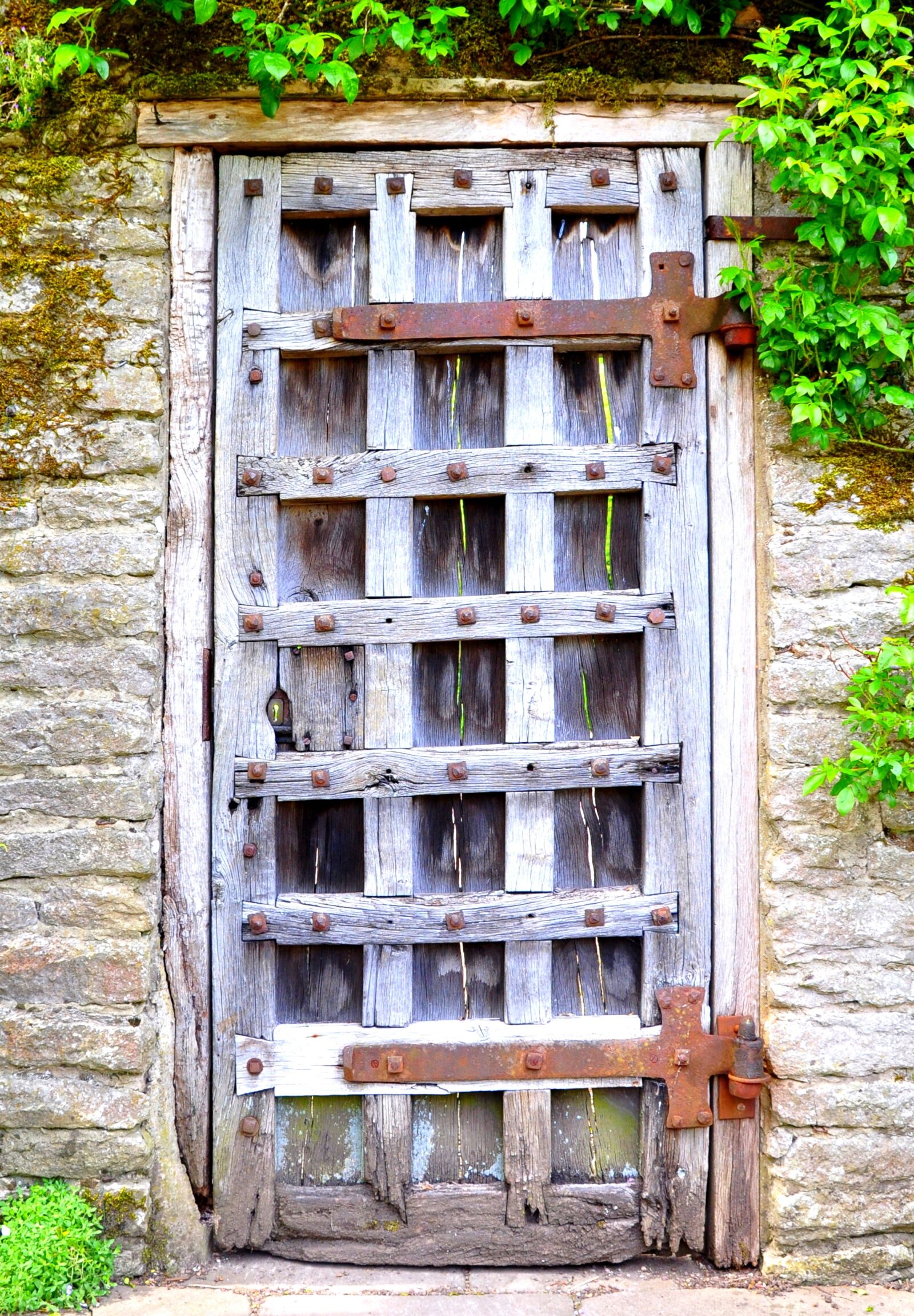 Nikon D90 sample photo. Wall, door, wood photography