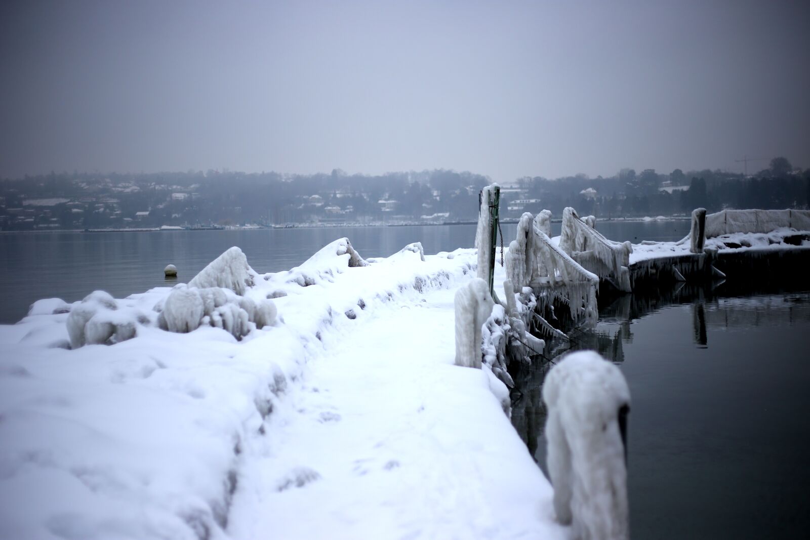 Canon EOS 6D + Canon EF 50mm F1.8 STM sample photo. Snow, winter, frozen photography
