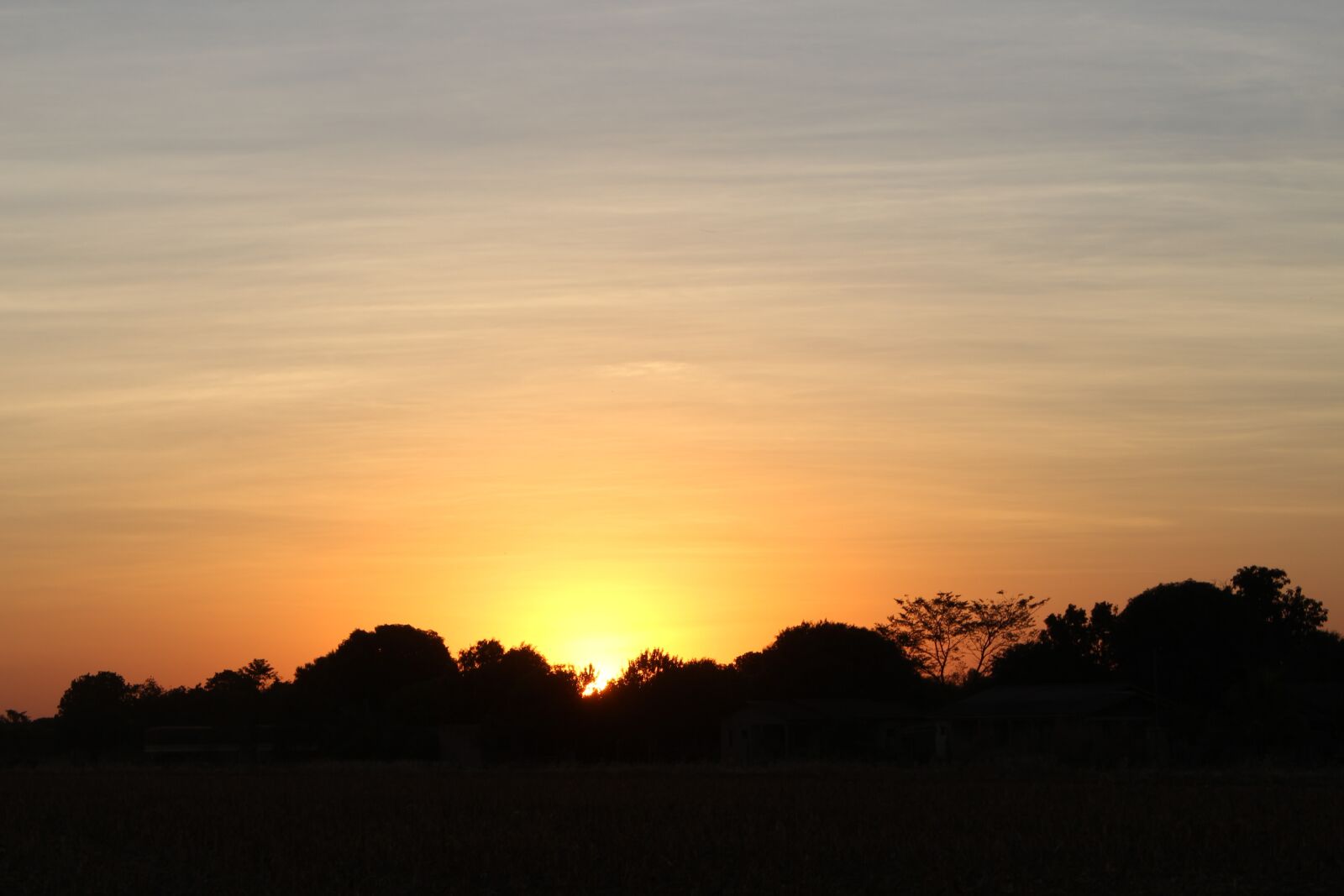 Canon EOS 700D (EOS Rebel T5i / EOS Kiss X7i) sample photo. Sunset, eventide, cerrado photography