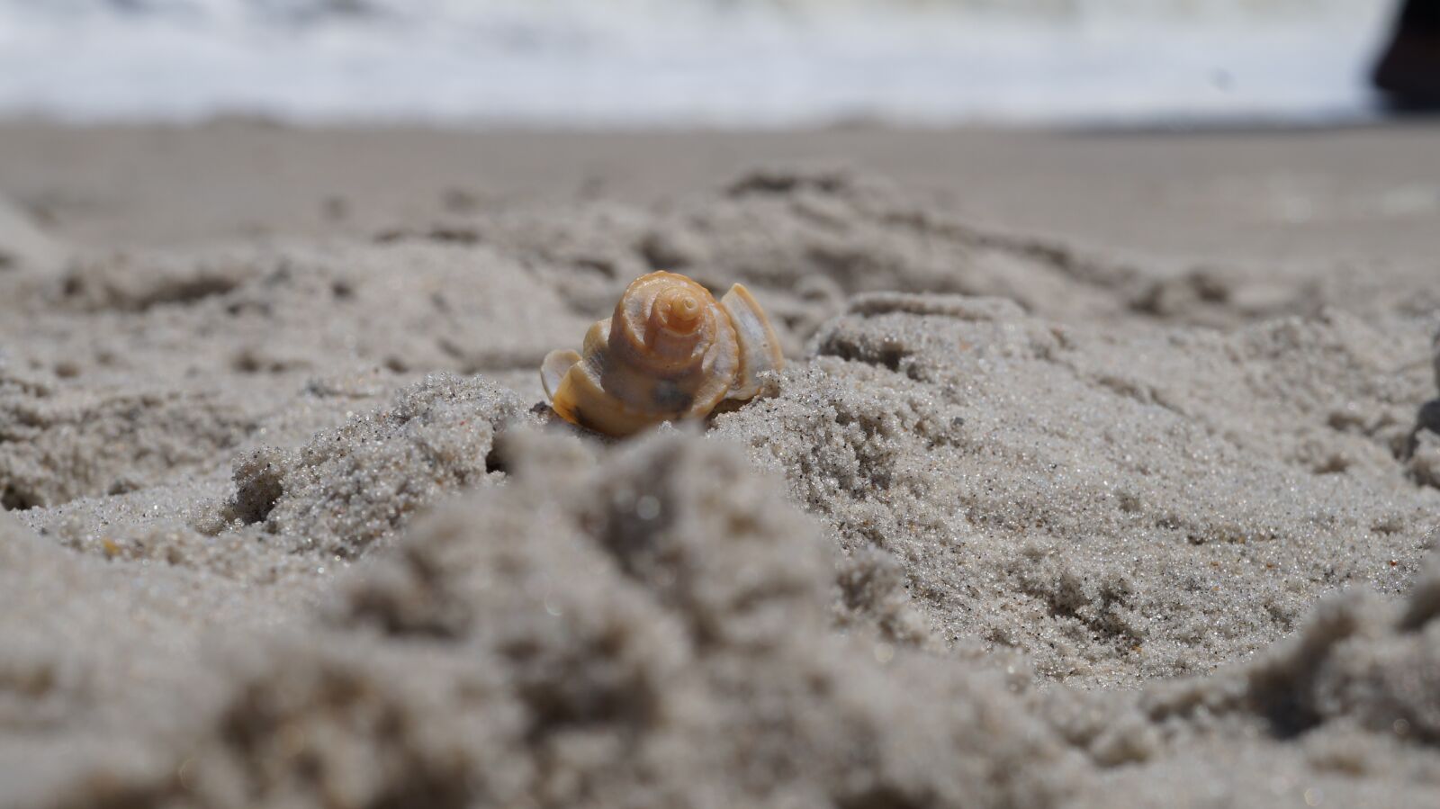 Sony Alpha a3000 + Sony E 18-55mm F3.5-5.6 OSS sample photo. Sand, nature, beach photography